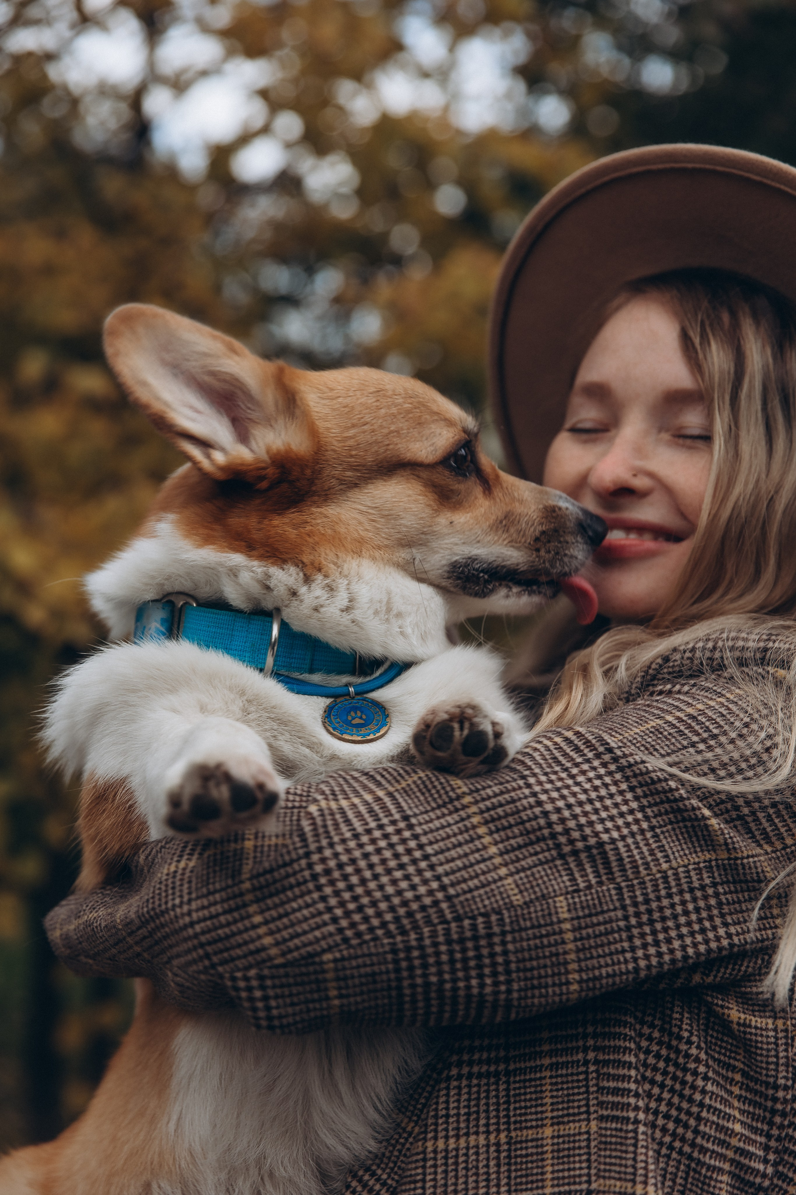 «Королевский Корги» 2. Фотограф Алина Ионычева в Новосибирске