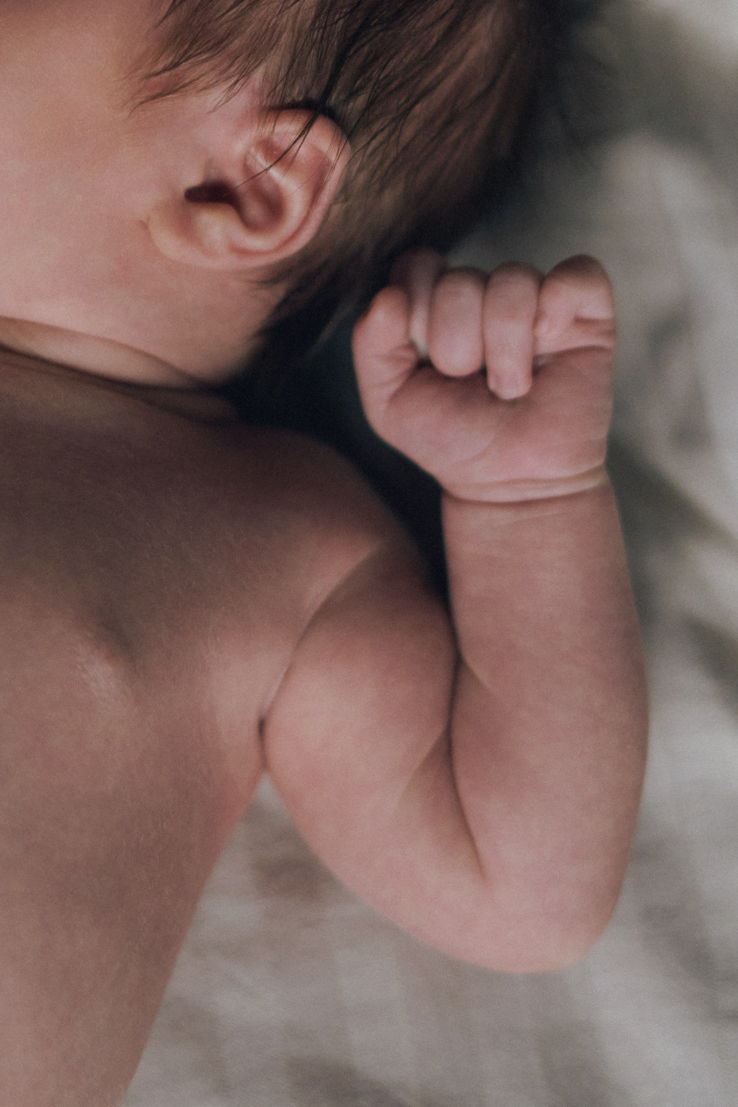 Семья. SHILOVA PHOTO. Шилова Екатерина. Фотограф. Москва