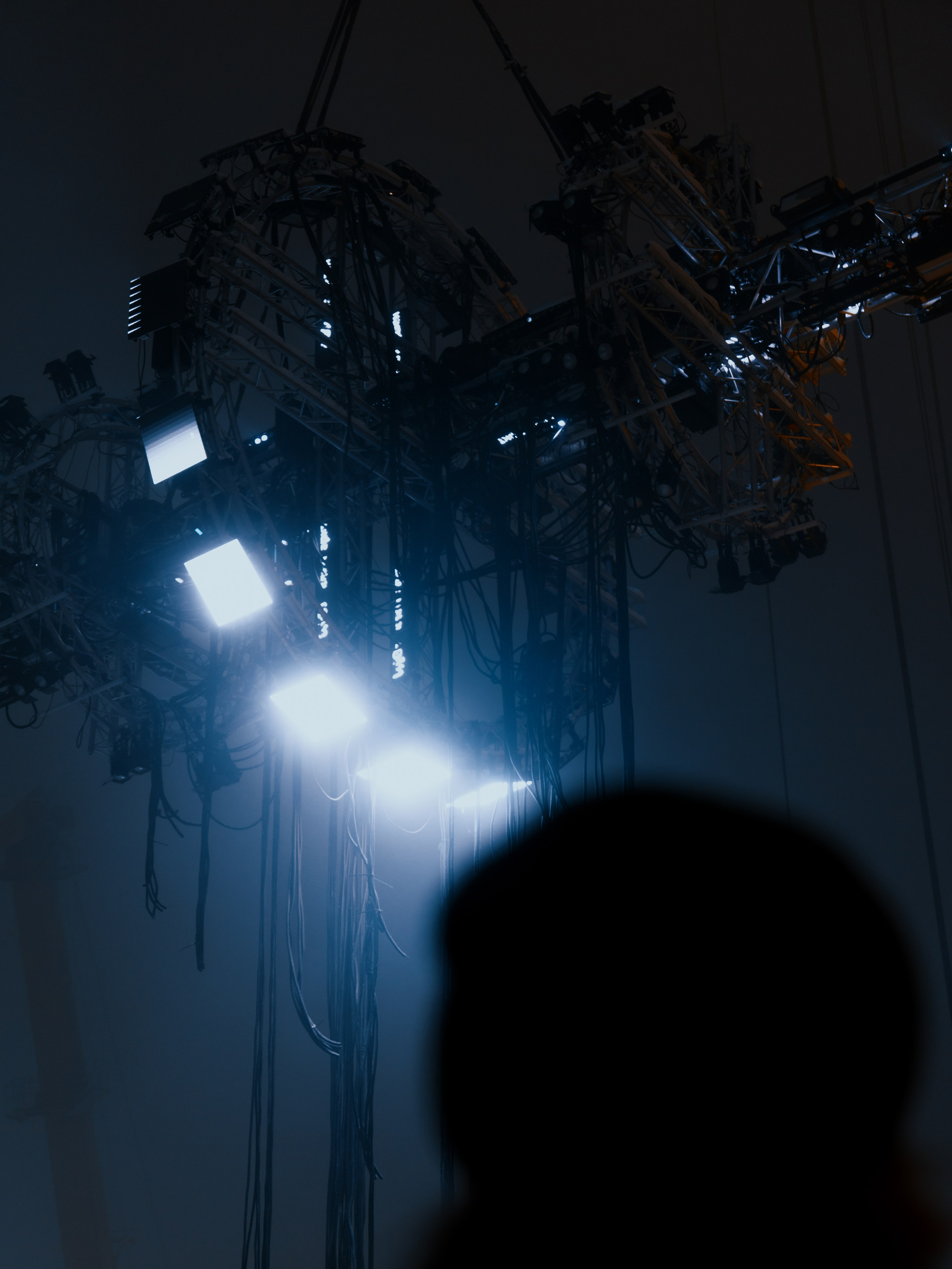 PANTERRA, POSTHUMAN ARTEFACT 003. @tomrus: Рустам Шагиморданов — фотограф