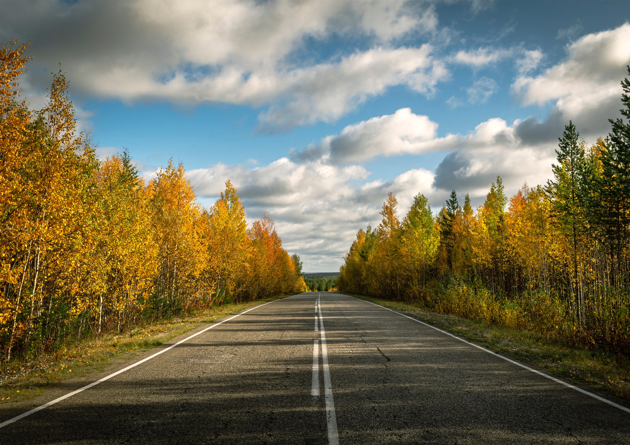 Осень. Фотограф в с. Ижма Республика Коми Терентьев Сергей