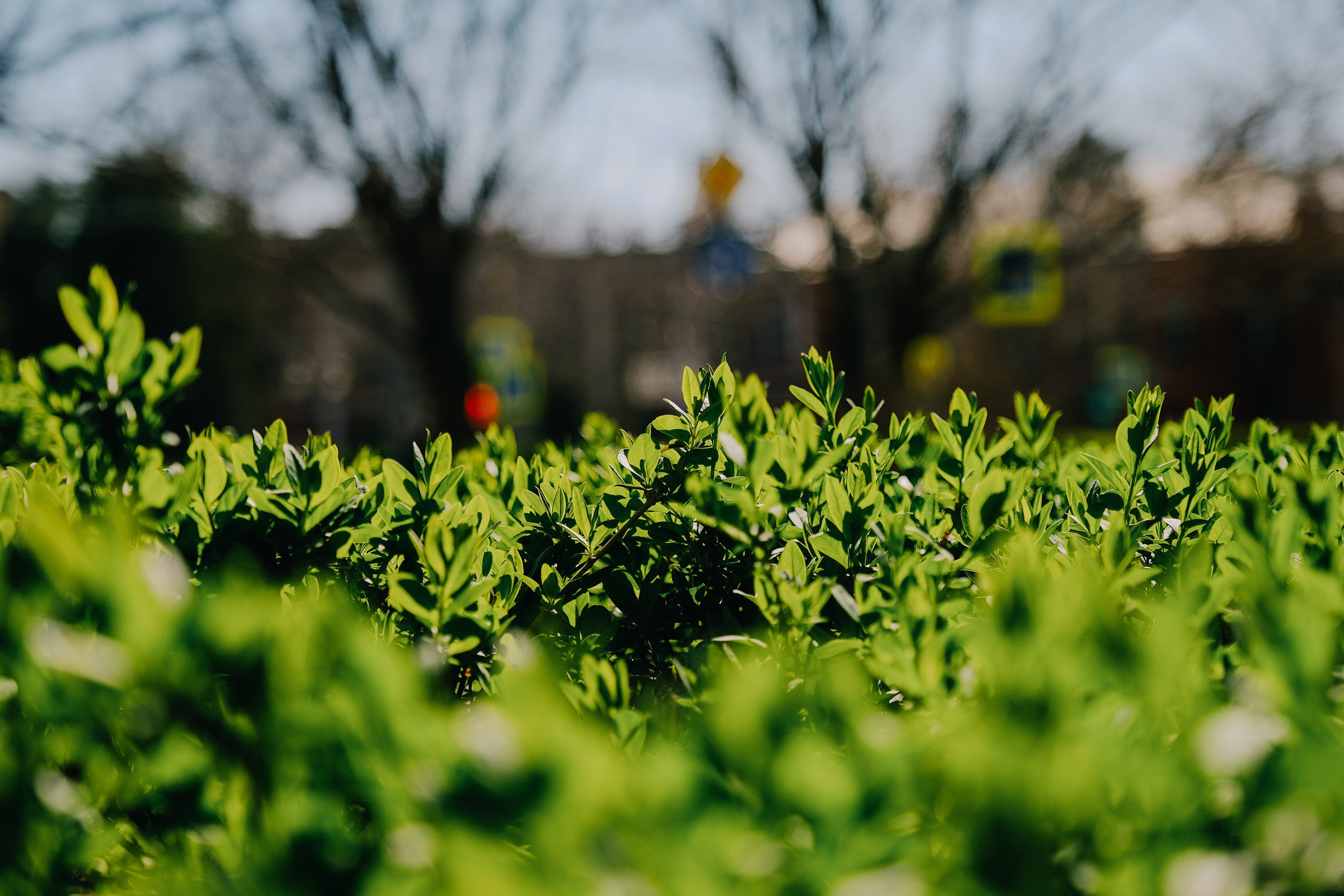 Пандемия. Фотограф Анатолий Деникин