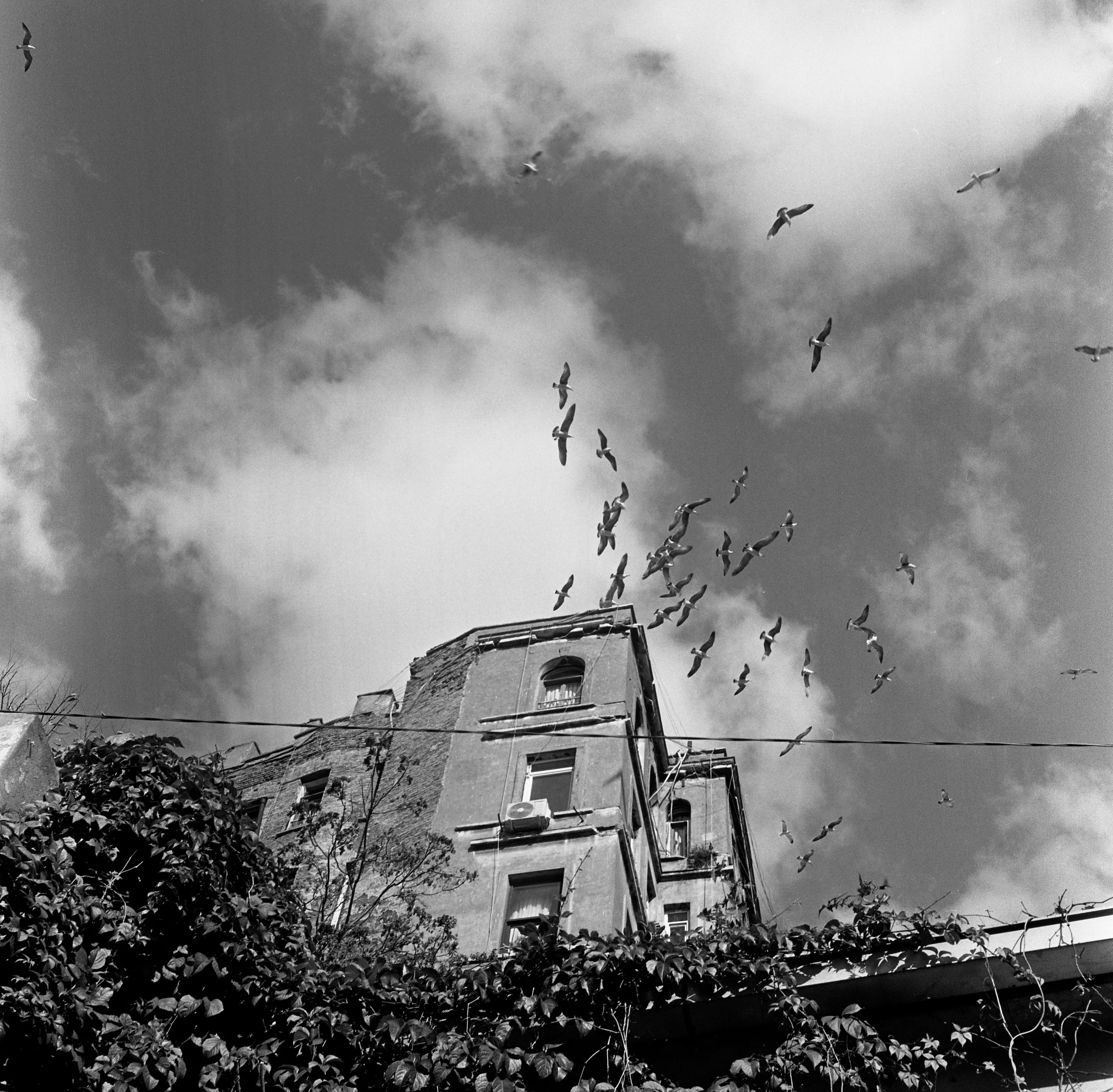 Turkey, Istanbul. Elena Nikitina. Photo Artist. Film photography. Prints