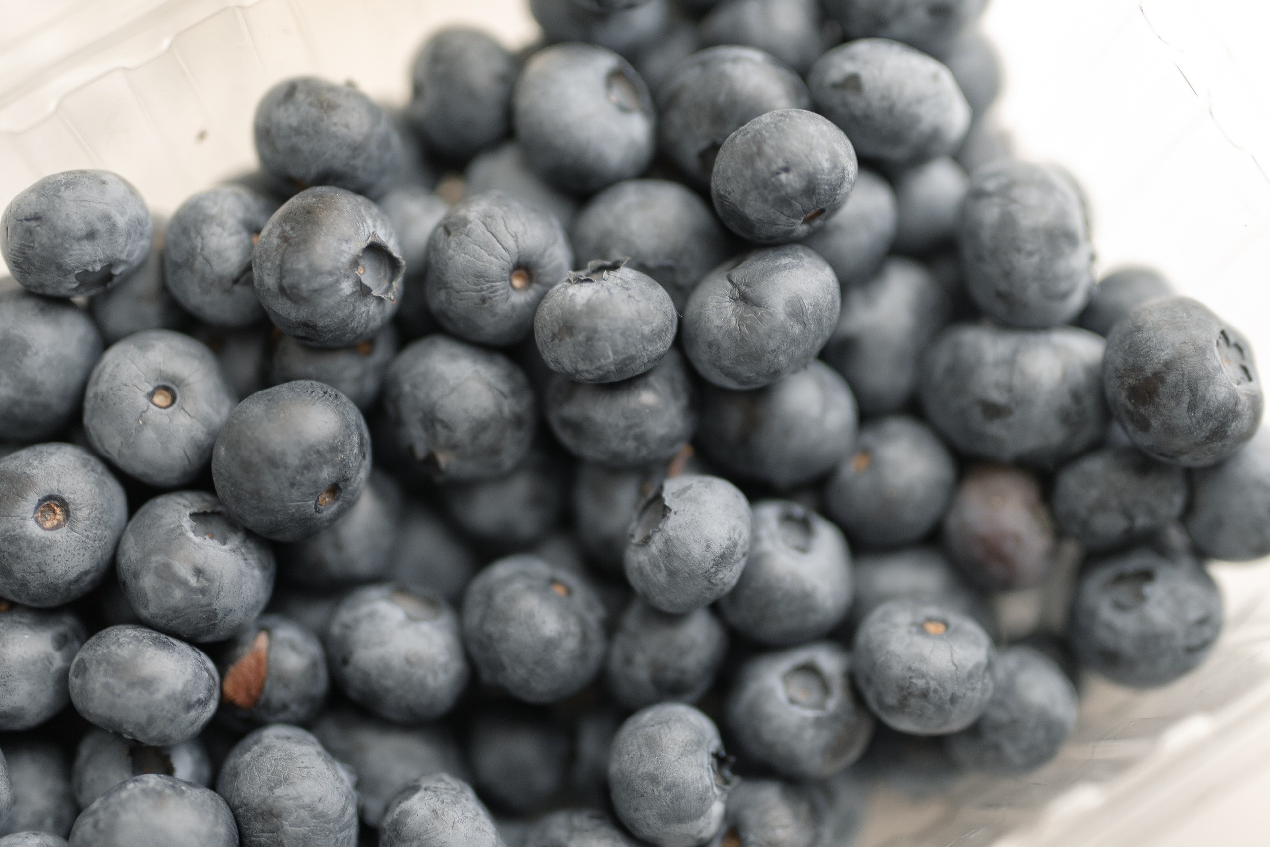 Никита и Вероника. Свадебный Фотограф Уфа | Никах