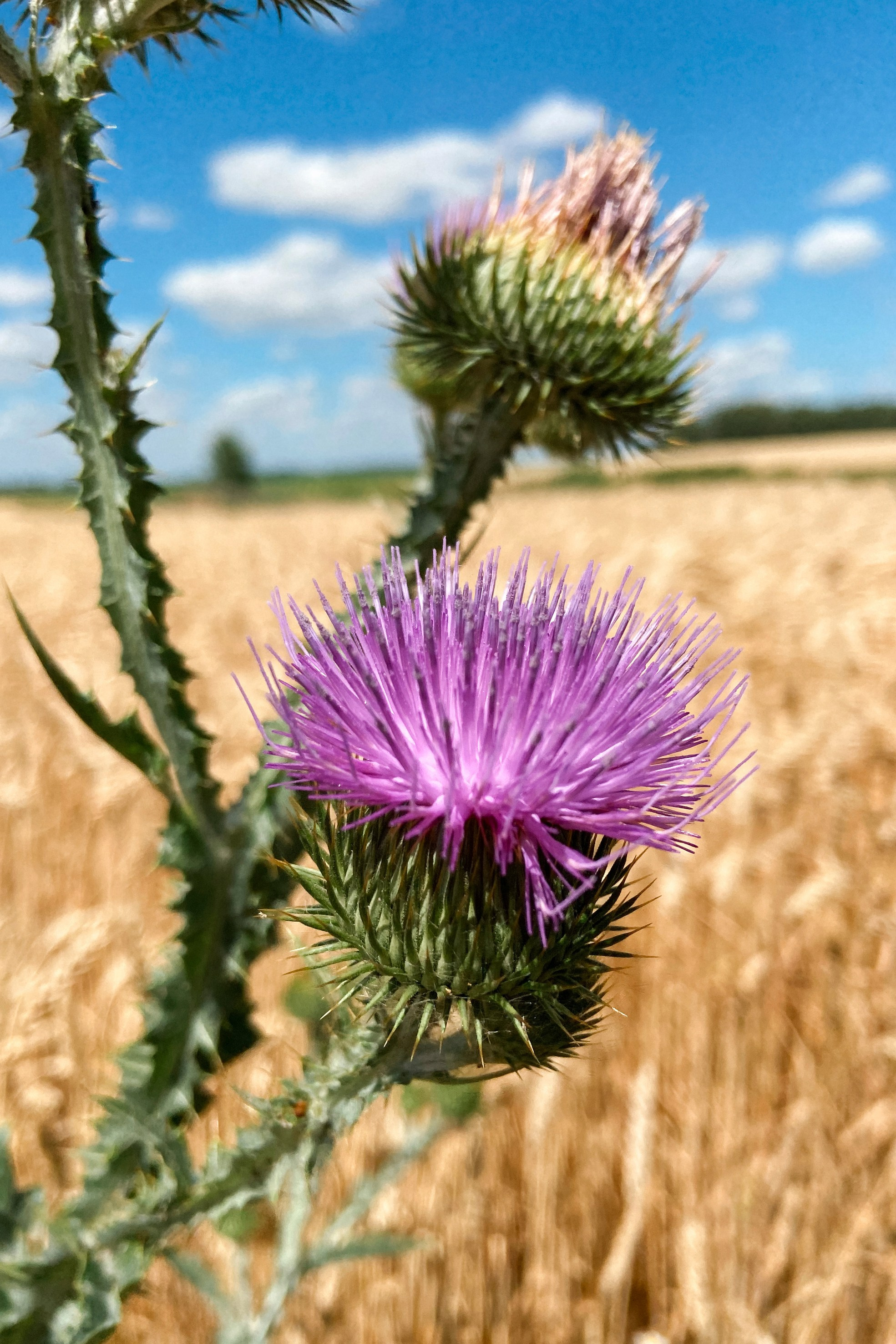 Природа. Команда фотографов Кристины Ивановой