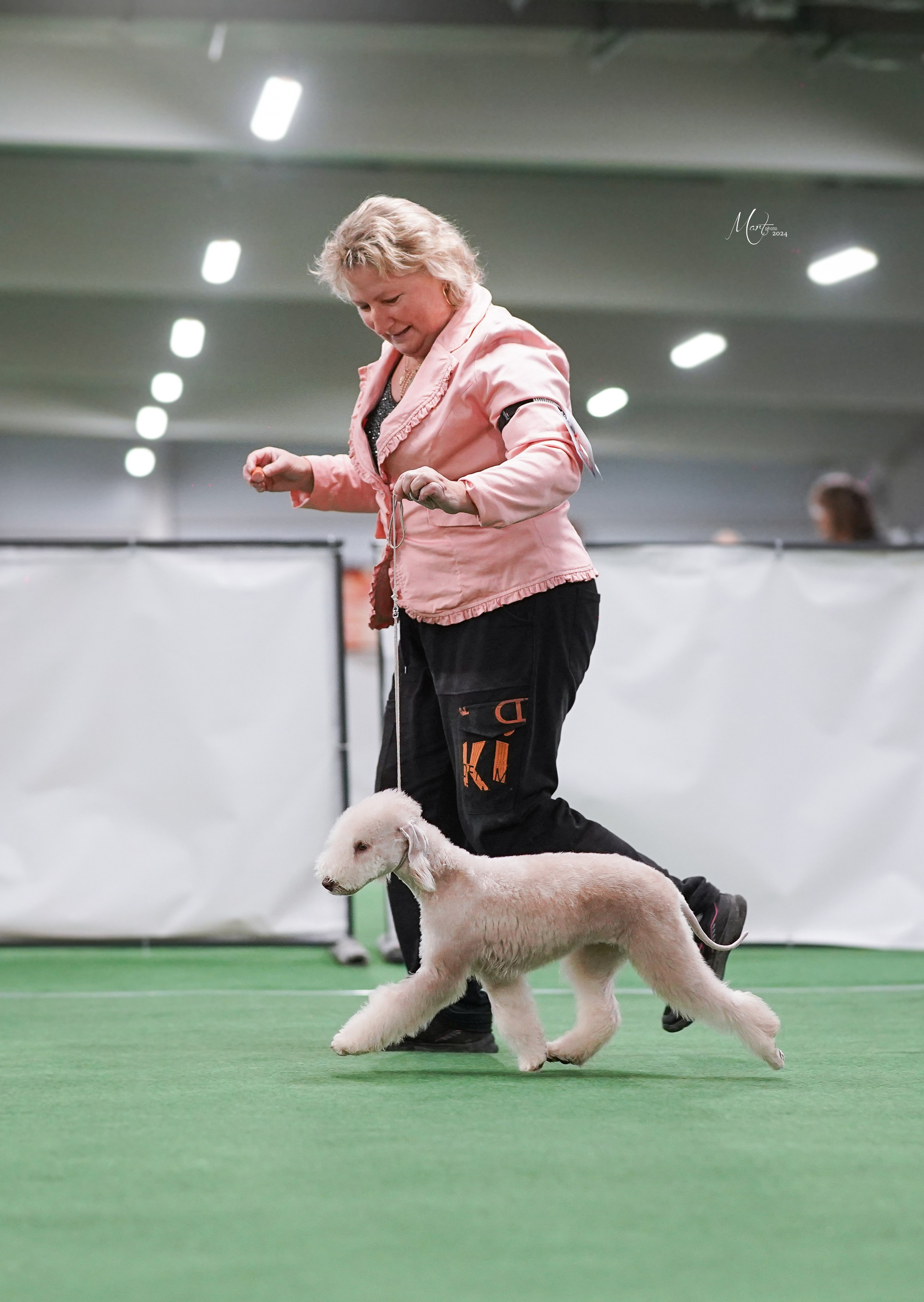 Выставки 2024. Фотограф-анималист в Санкт-Петербурге Яна Мартынова