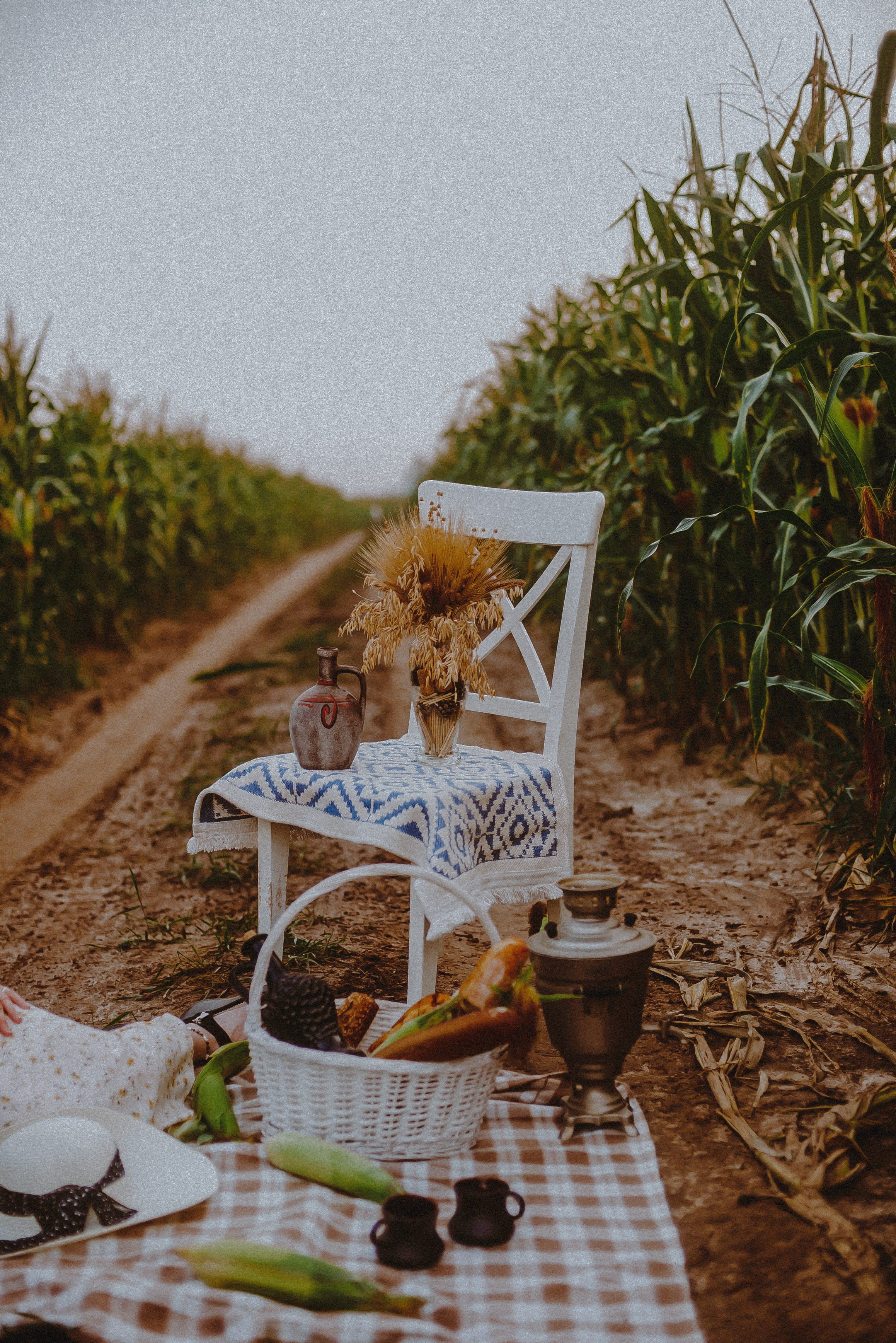 Кукуруза. Свадебный и семейный фотограф в Москве Сажина Кристина КиМ. Свадебный оператор в Москве Сажин Максим