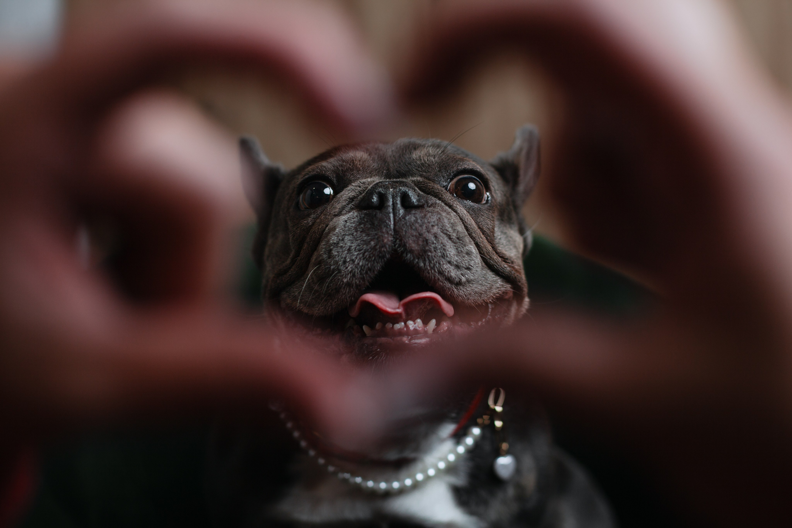 Бульвстреча 2025. Фотограф-анималист Татьяна Степанова