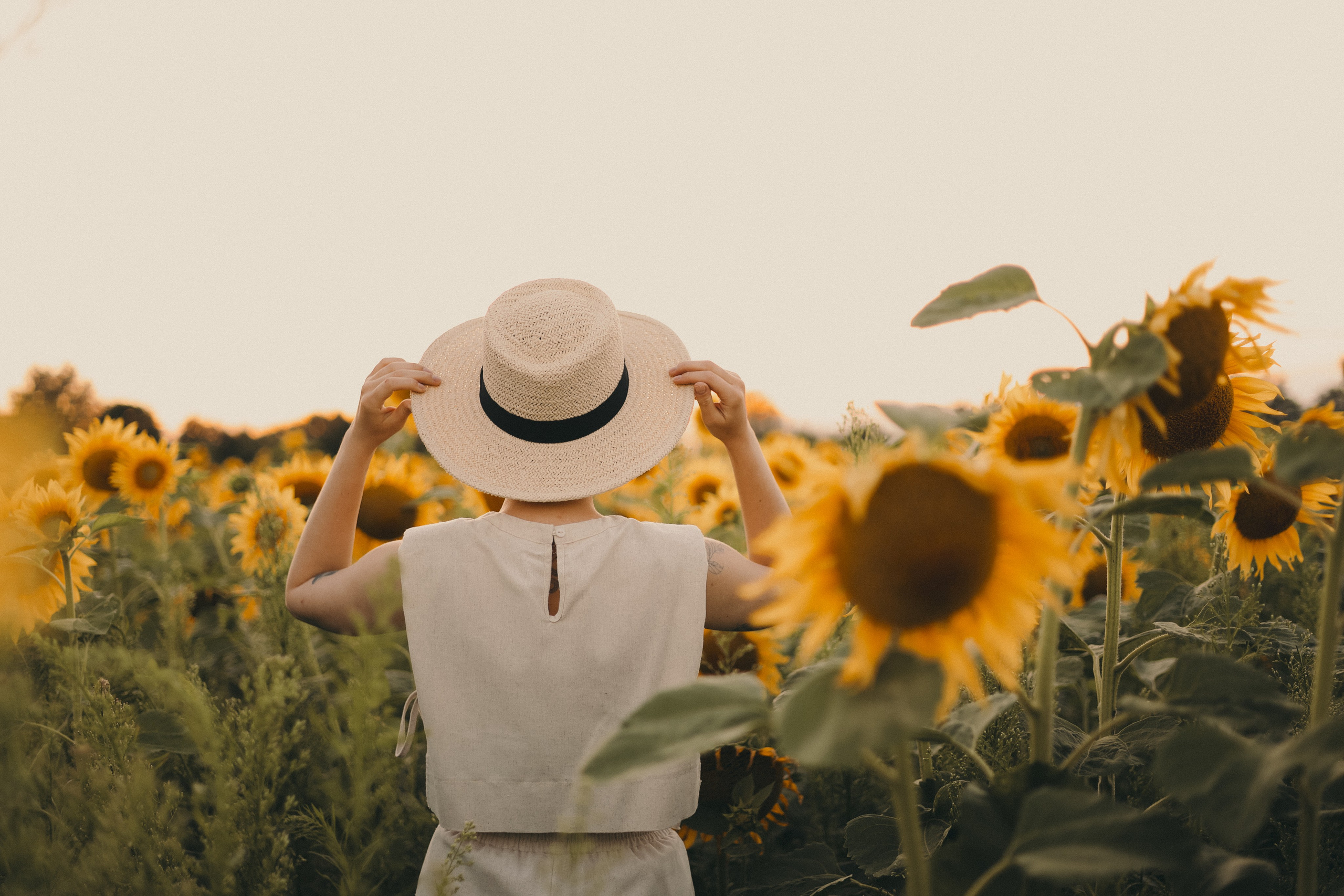 Владислава | Подсолнухи. Фотограф Мария Лаенко