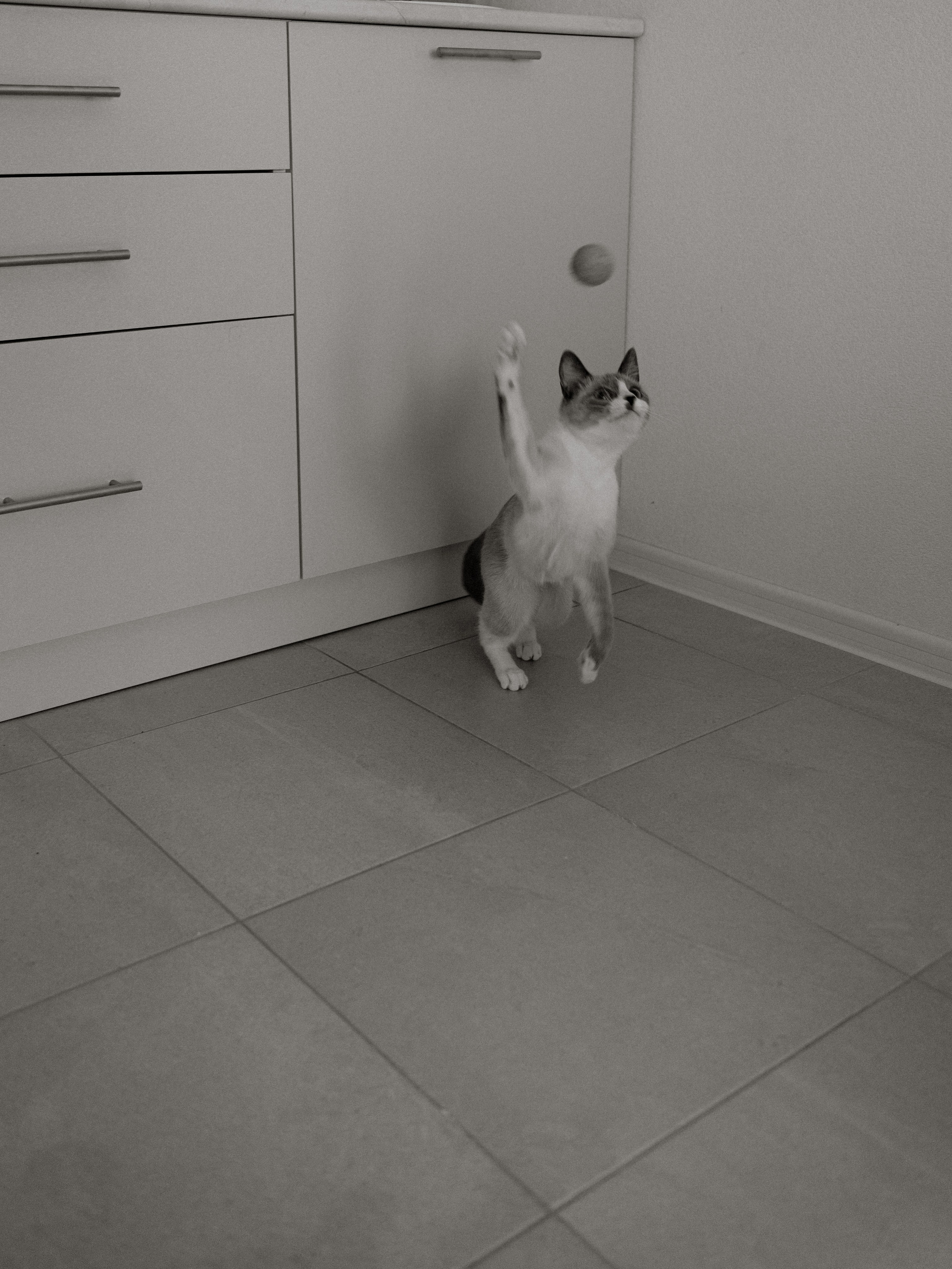 Леша + Алена. Портретный фотограф в Ярославле Юлия Румянцева