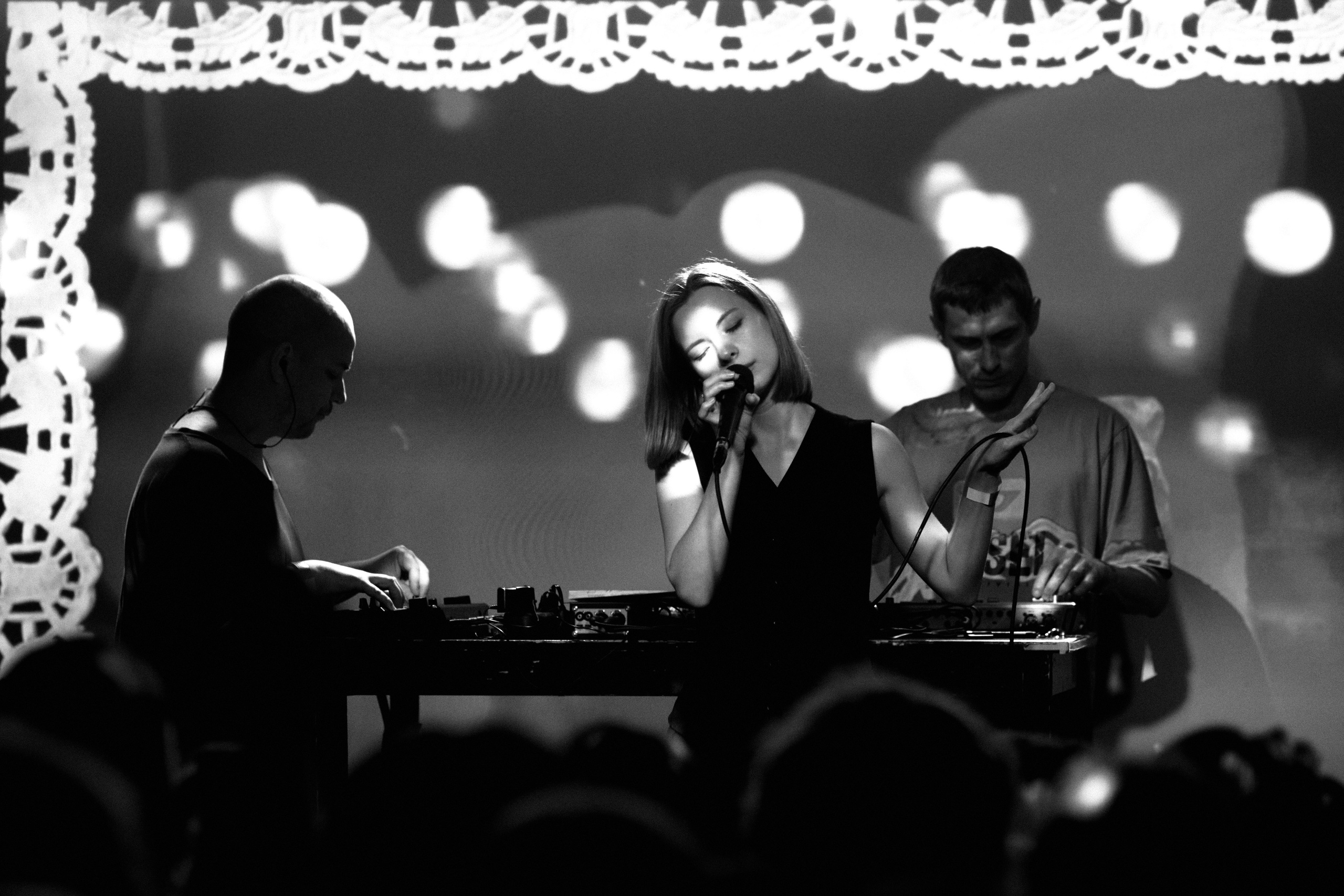 Порез на собаке. Фотограф Юлия Маринина