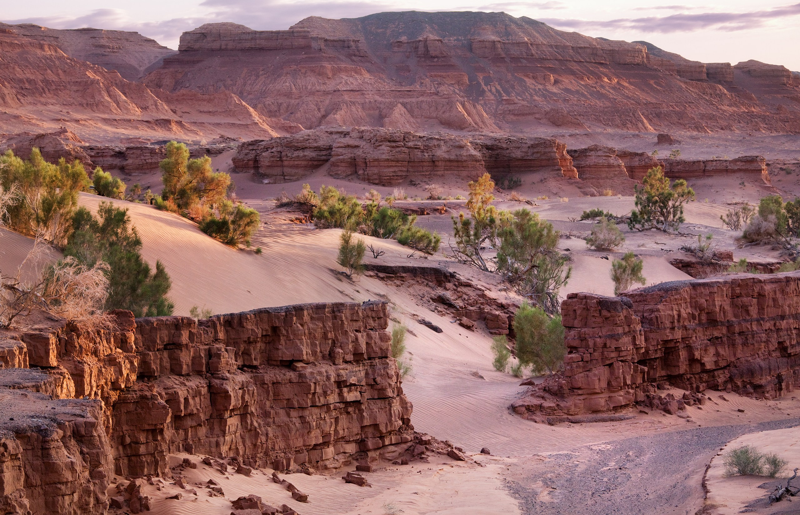 Монголия. Фотограф Владимир Медведев