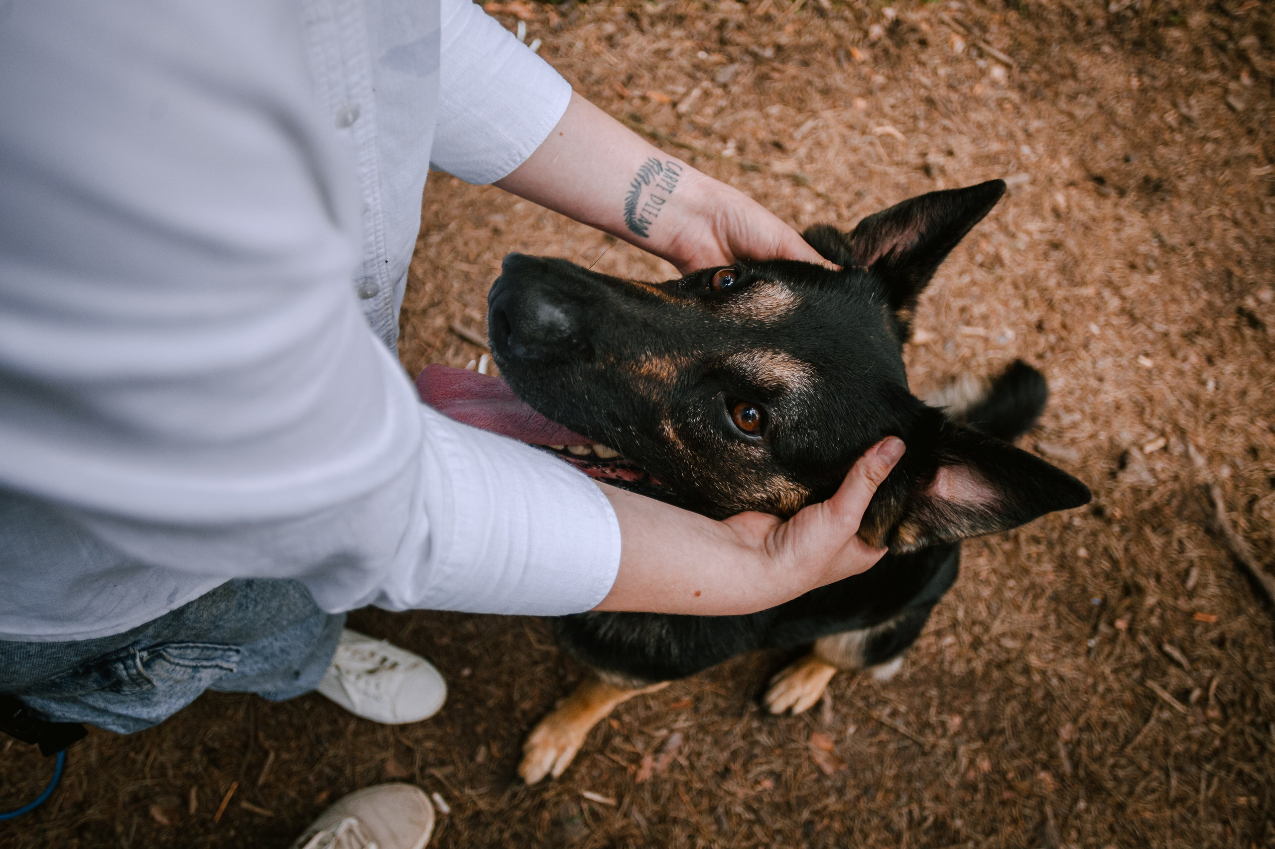 Лесная летняя фотопрогулка. Фотограф-анималист Татьяна Степанова