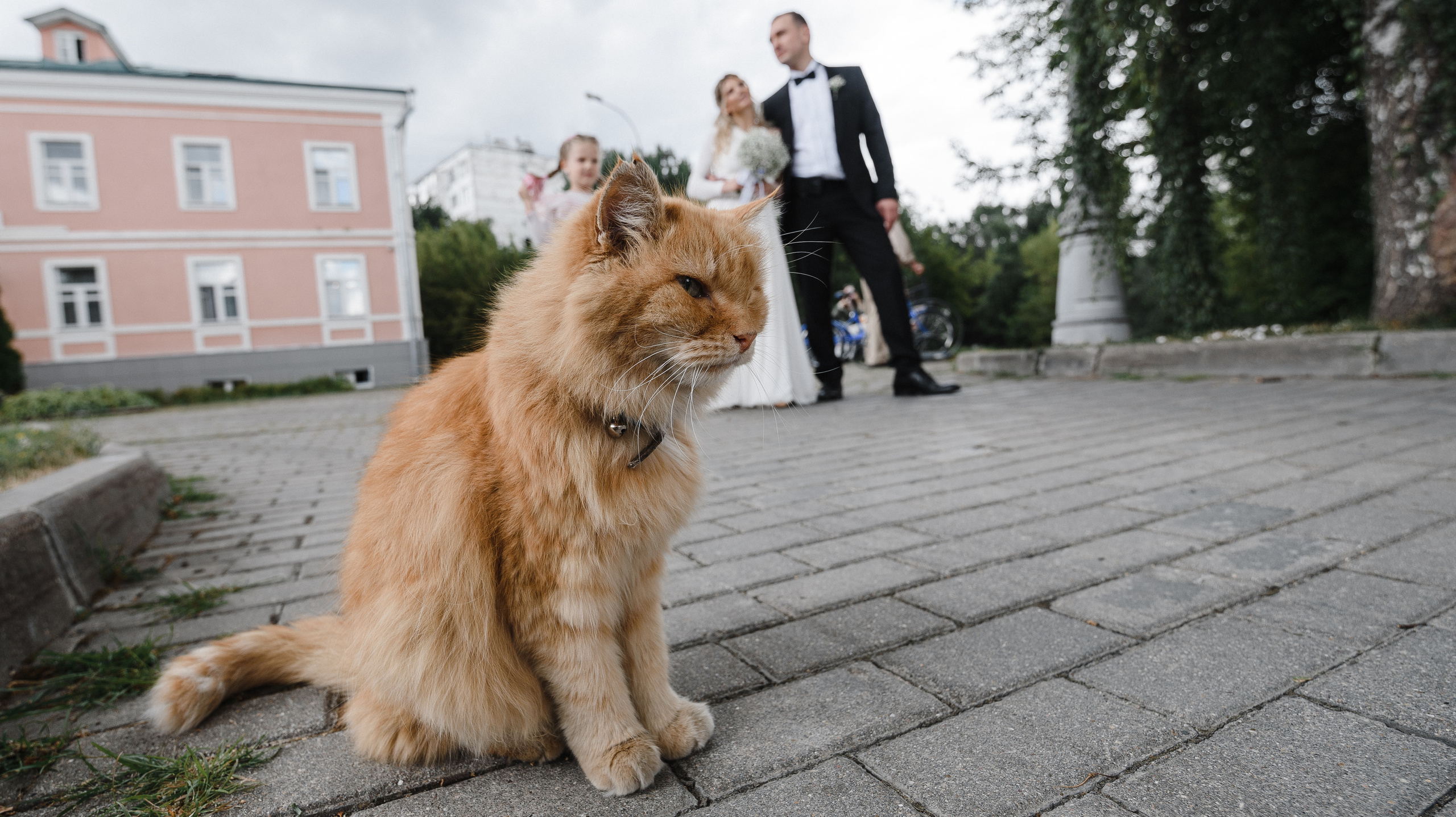 Кирилл и Дарья. Свадебные фотографии. Свадебный фотограф в Москве Алексей Тук