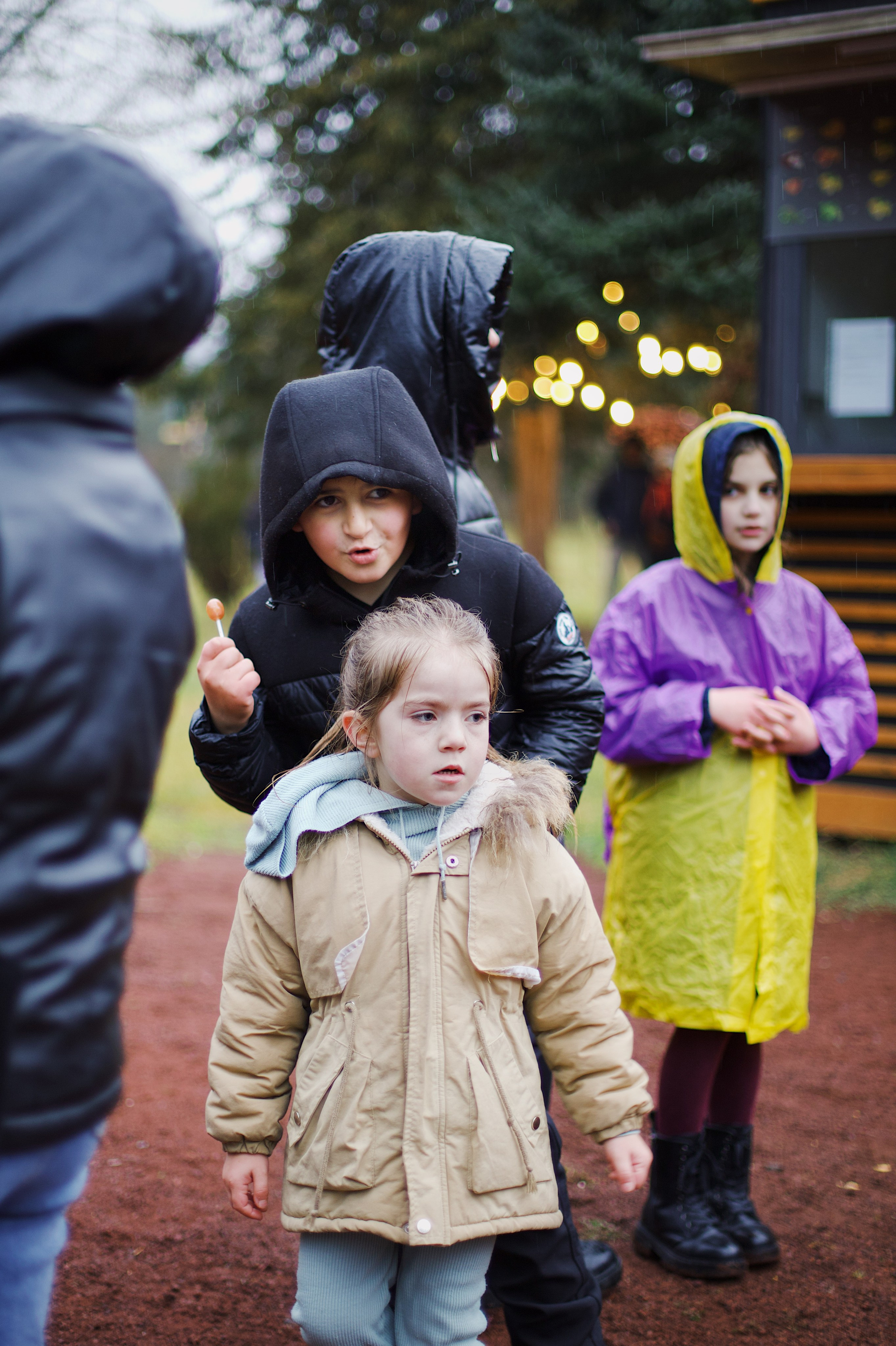 Christmas Tree opening in Dilijan city park. Фотограф в Армении Женя Гилевич