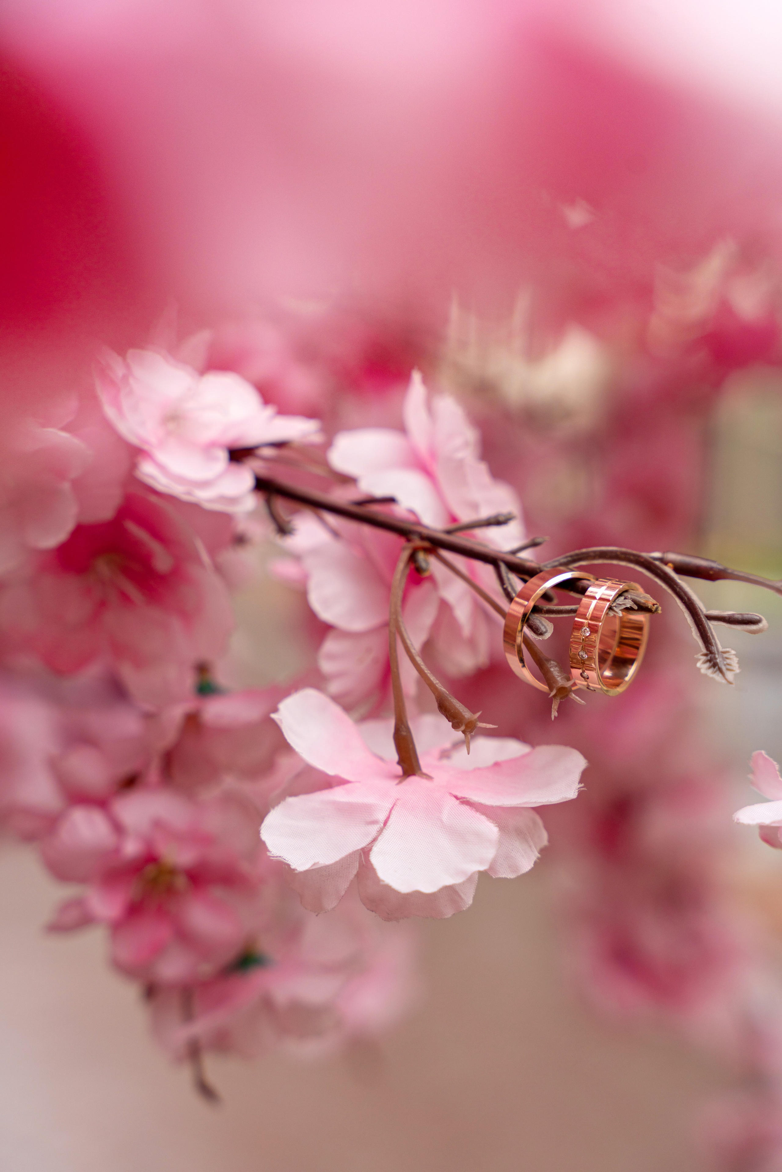 ЕВГЕНИЯ И ДАРЬИ. Фотограф на любое мероприятие