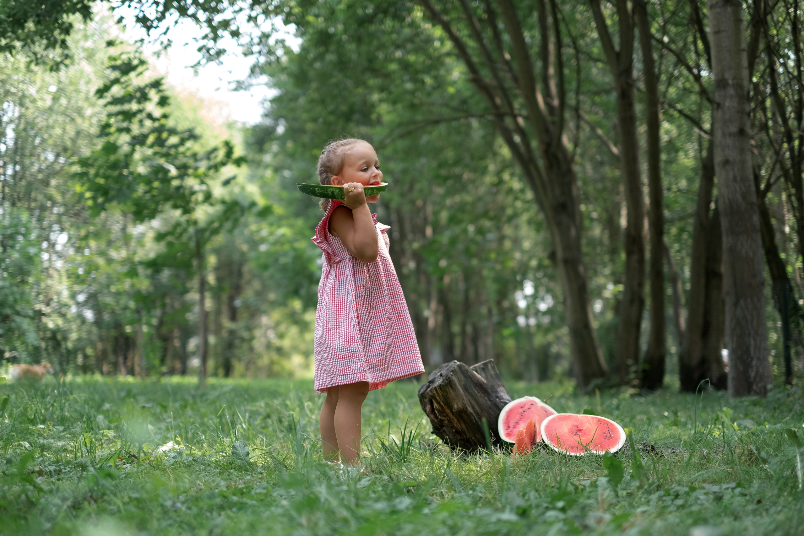 Сладкий арбузик. Семейный и детский фотограф в Мелитополе /Наталья Зацеркляная