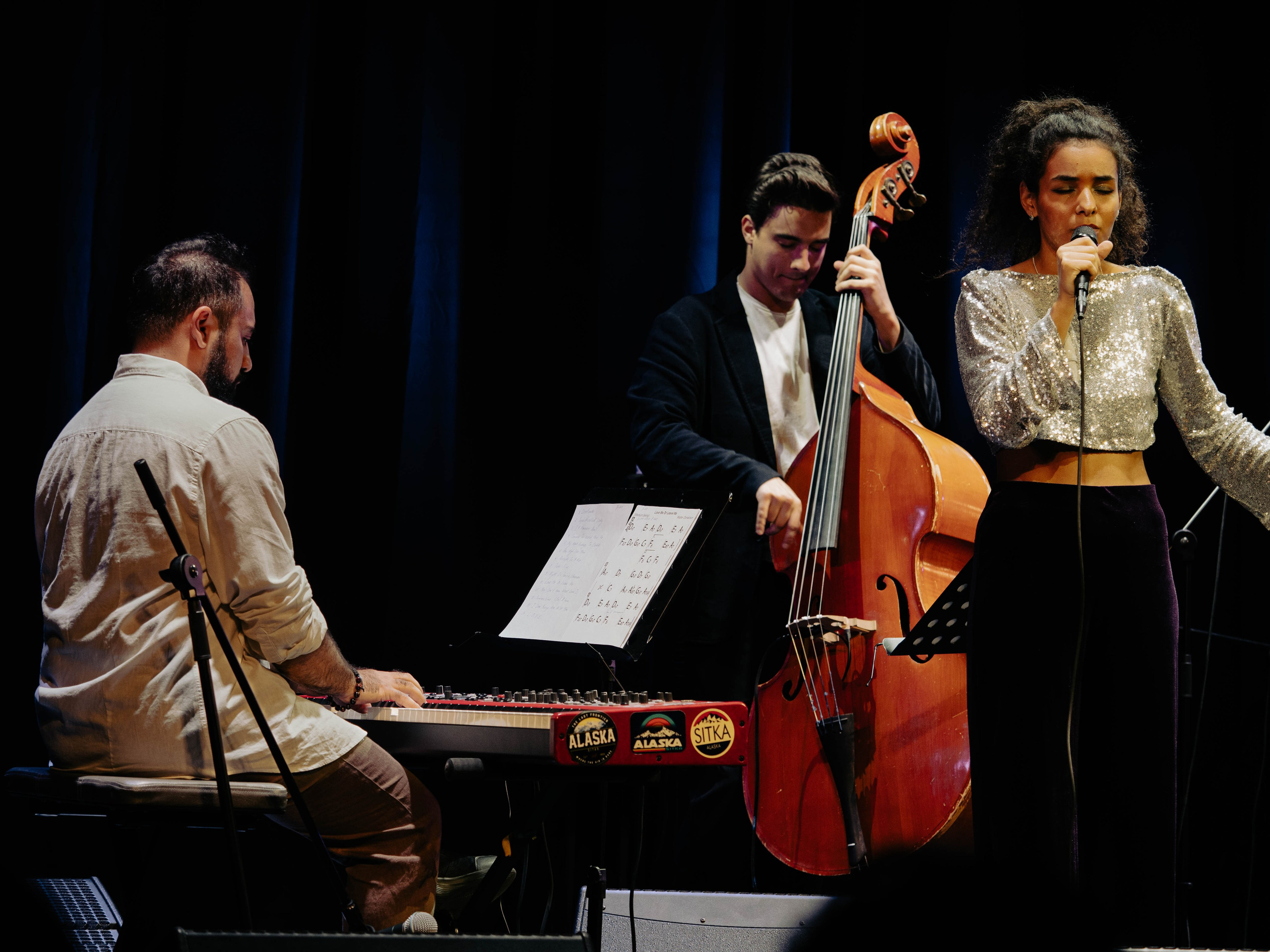 Концерт София Ацбеха-Негга, Тони Карапетян. Видеограф Нижний Новгород, Санкт-Петербург Лена Латышева