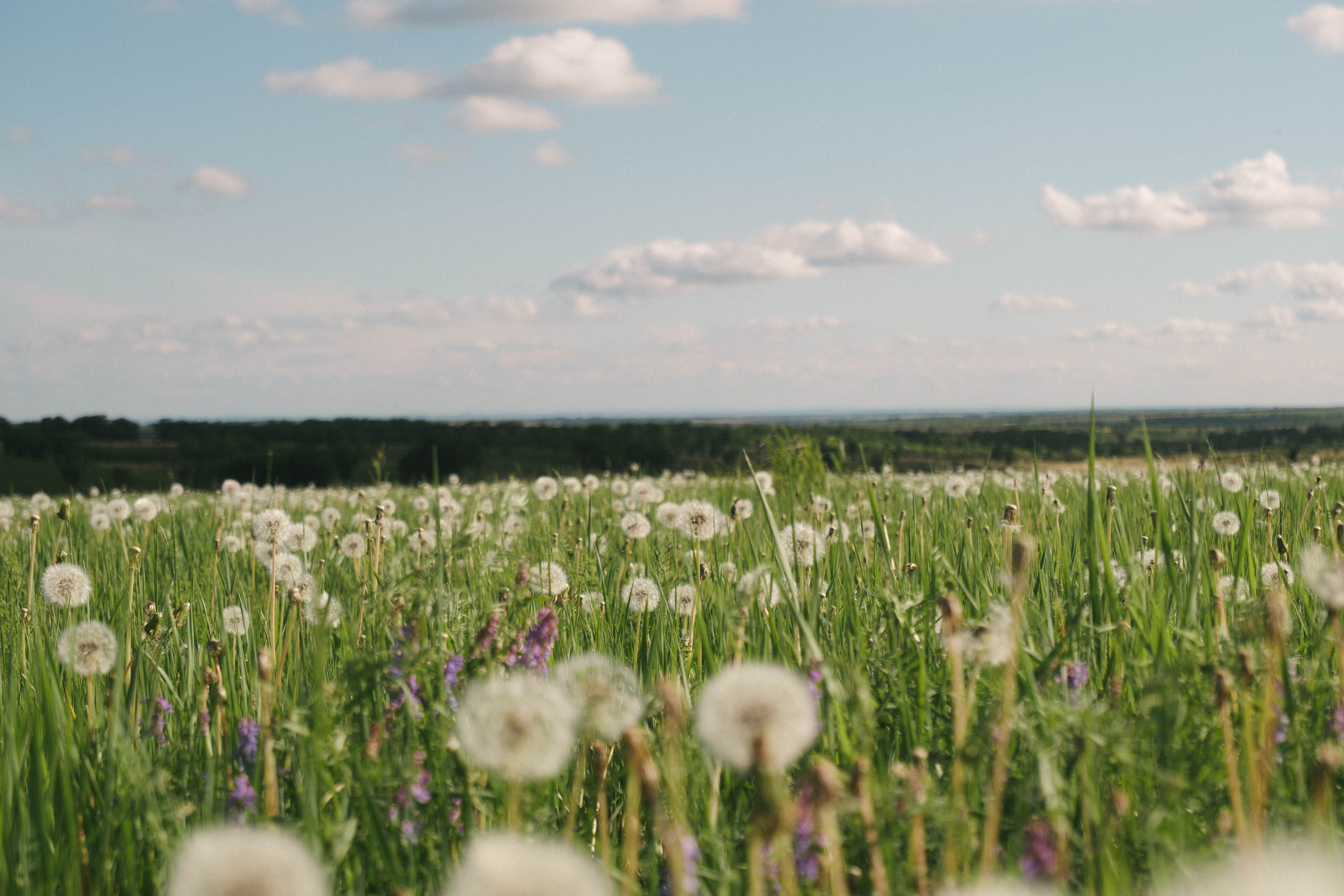 8 июня. Фотограф Благовещенска Яна