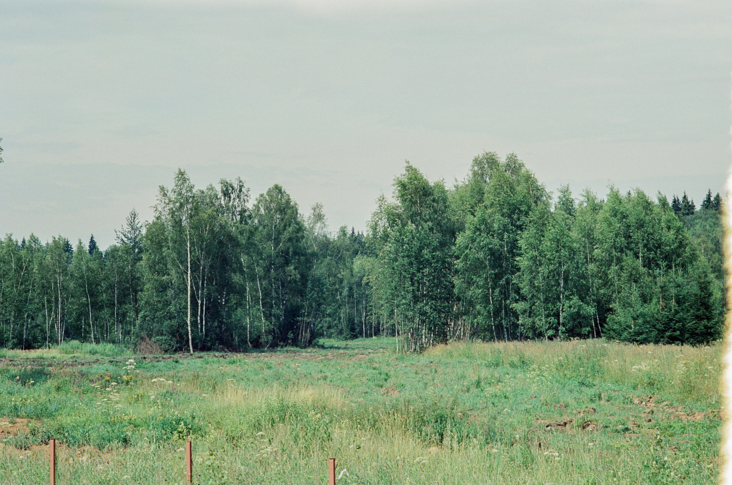 Canon 33V — Minolta MC Rokkor-PF 85 mm f1.7 | SFL 200T | июль 2025 г