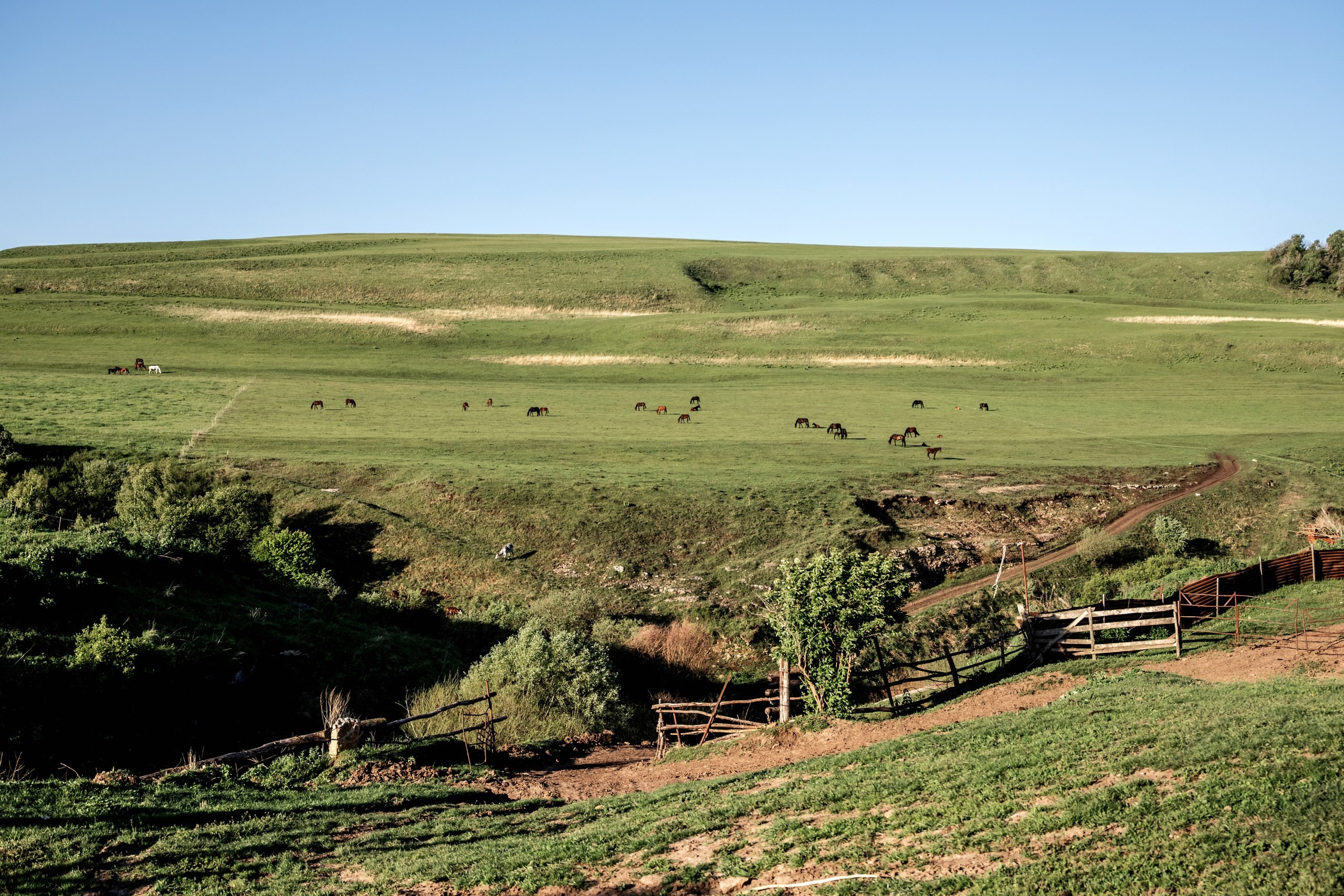 КЧР май'24. BrisArts