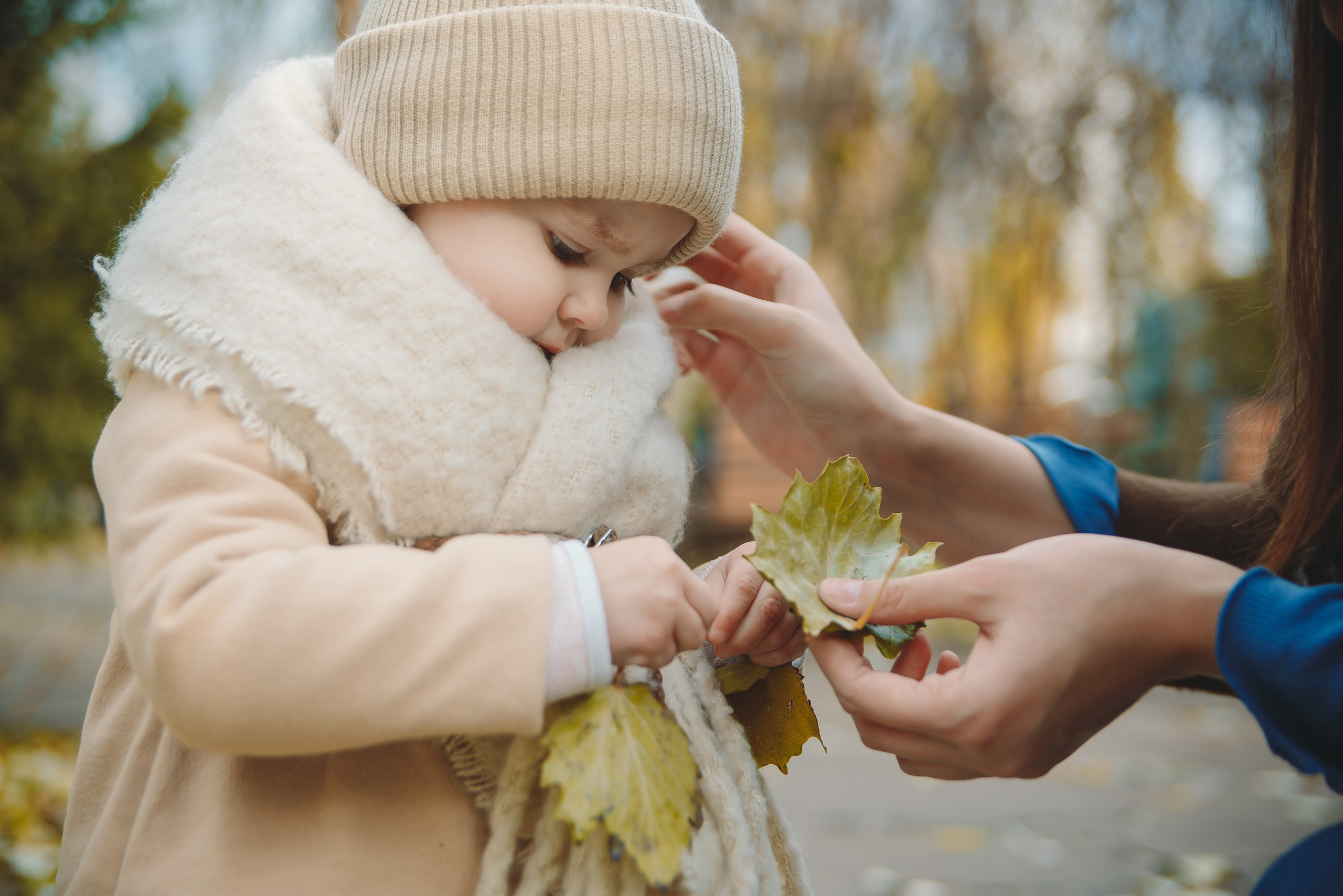 Волшебная осень. Фотограф в Абакане Николай Окунев
