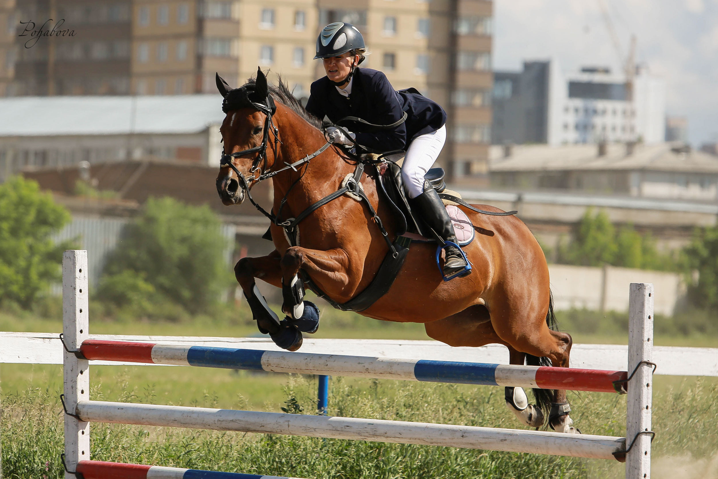 Оревнования 2023. Конный фотограф в Красноярске — Любовь Похабова