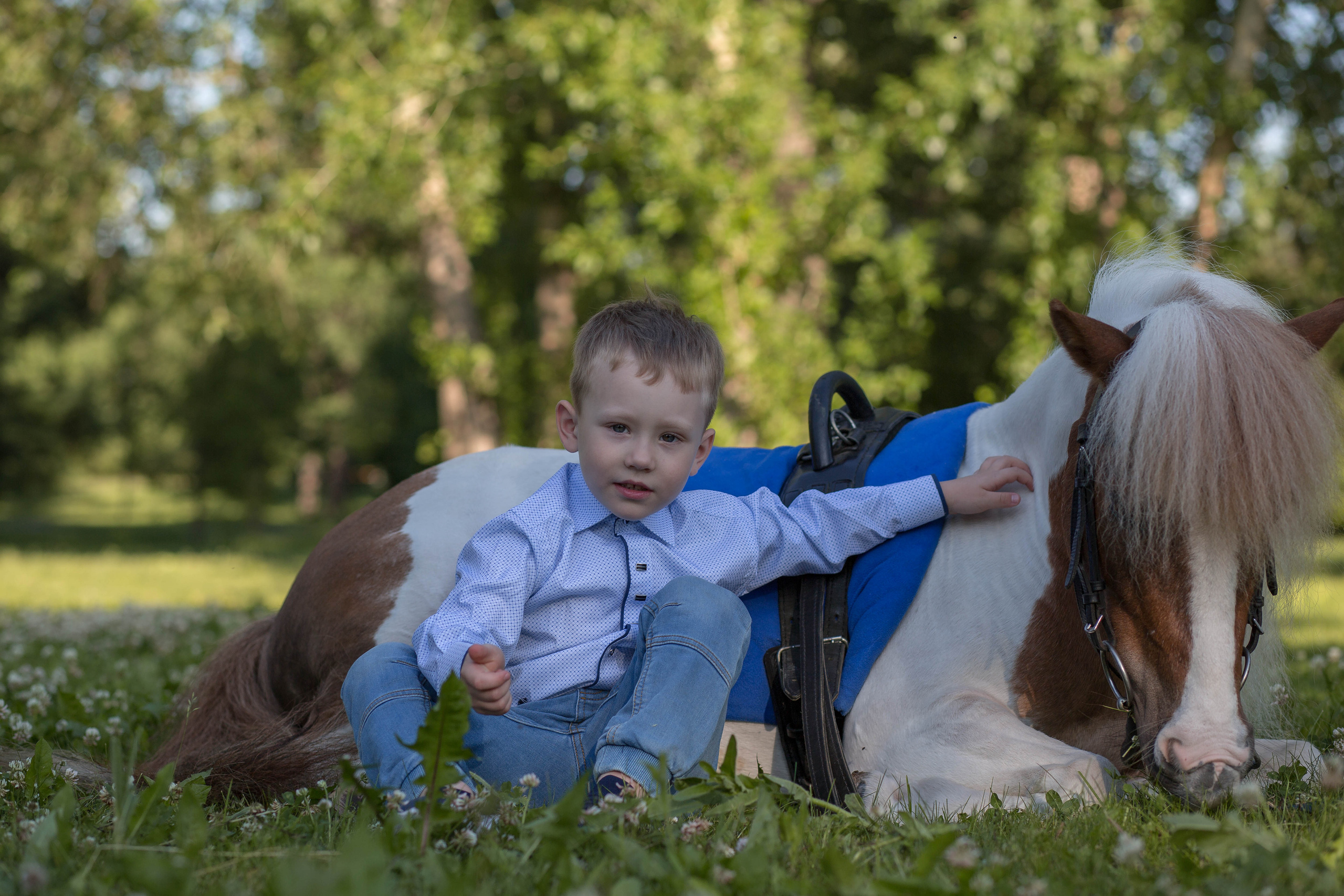 Пони и дети. Конный фотограф в Красноярске — Любовь Похабова