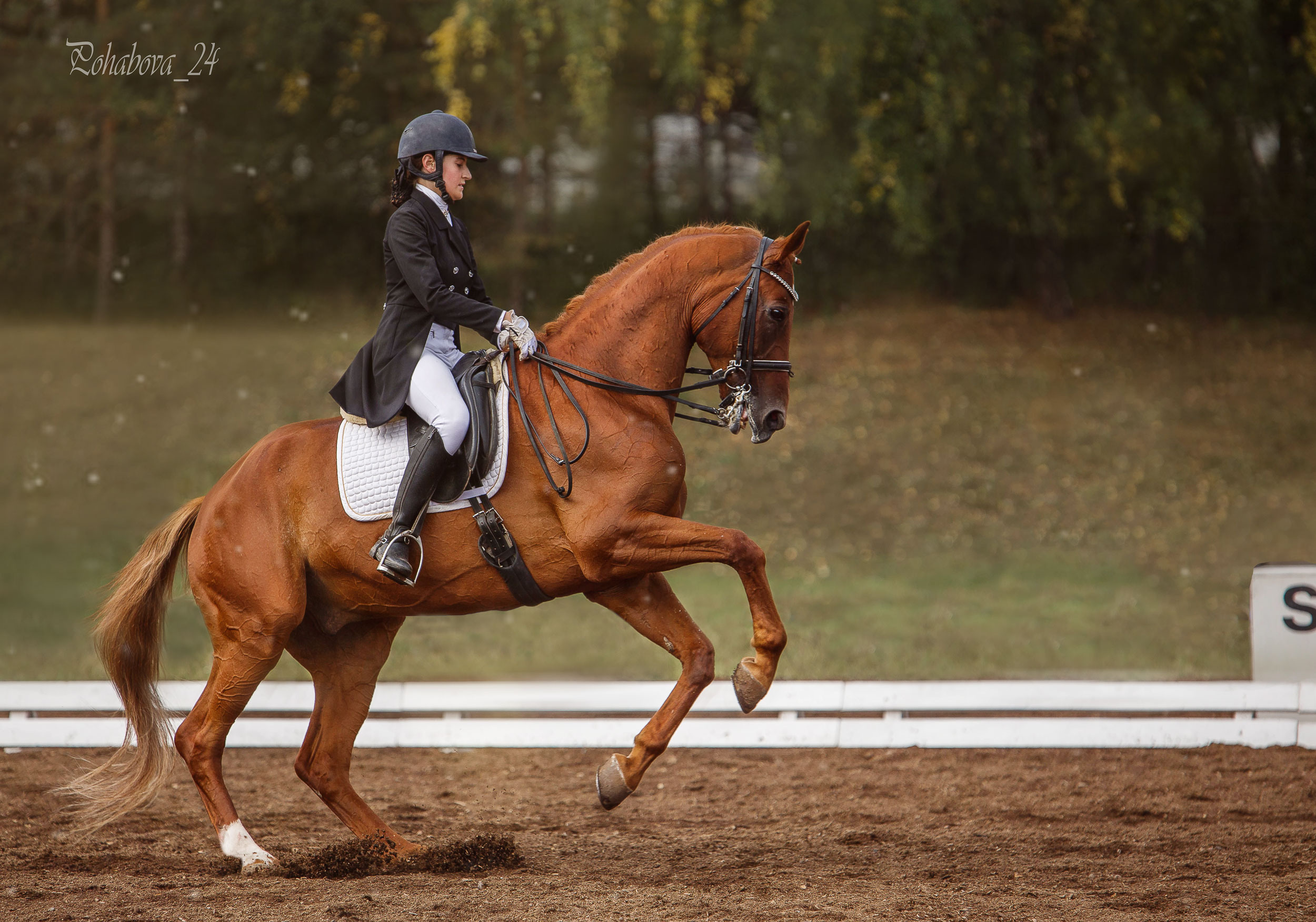 Оревнования 2023. Конный фотограф в Красноярске — Любовь Похабова