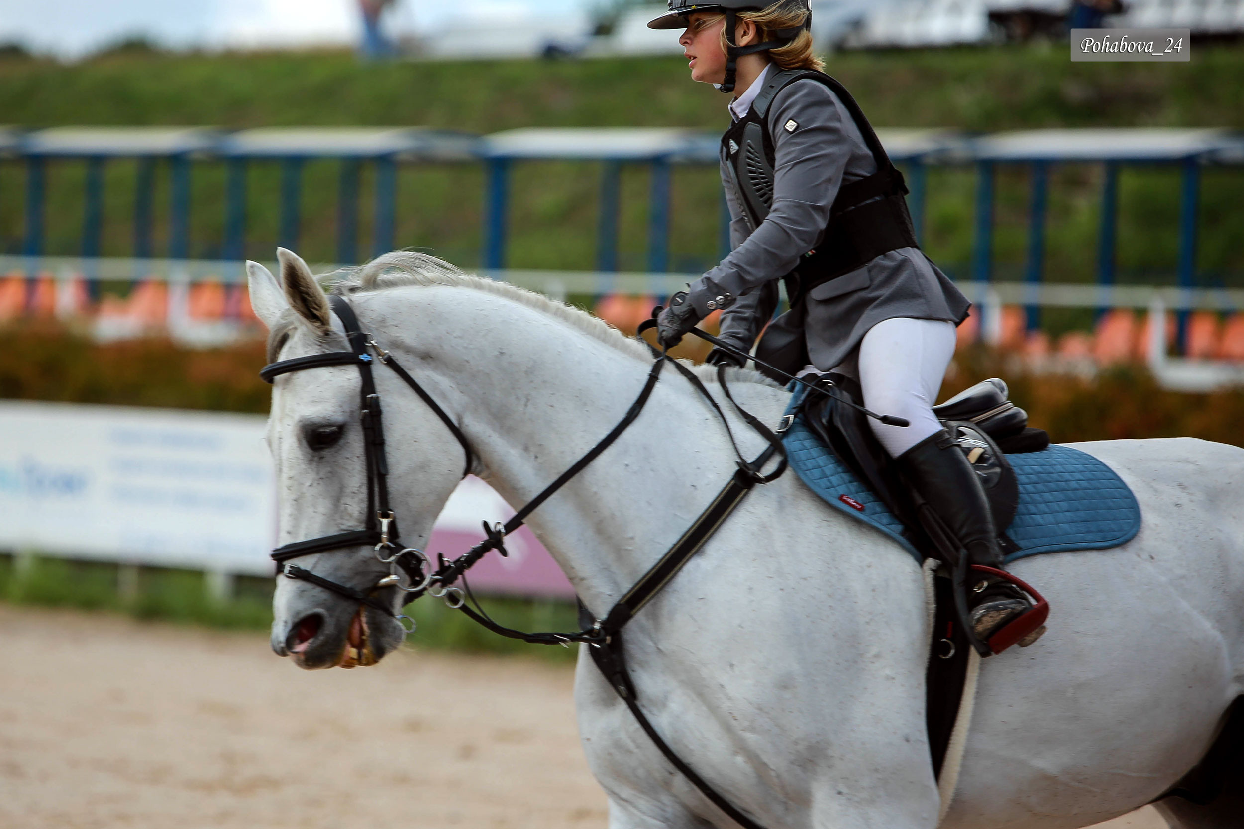 Г. СПБ КСК «Вента-Арена». Конный фотограф в Красноярске — Любовь Похабова
