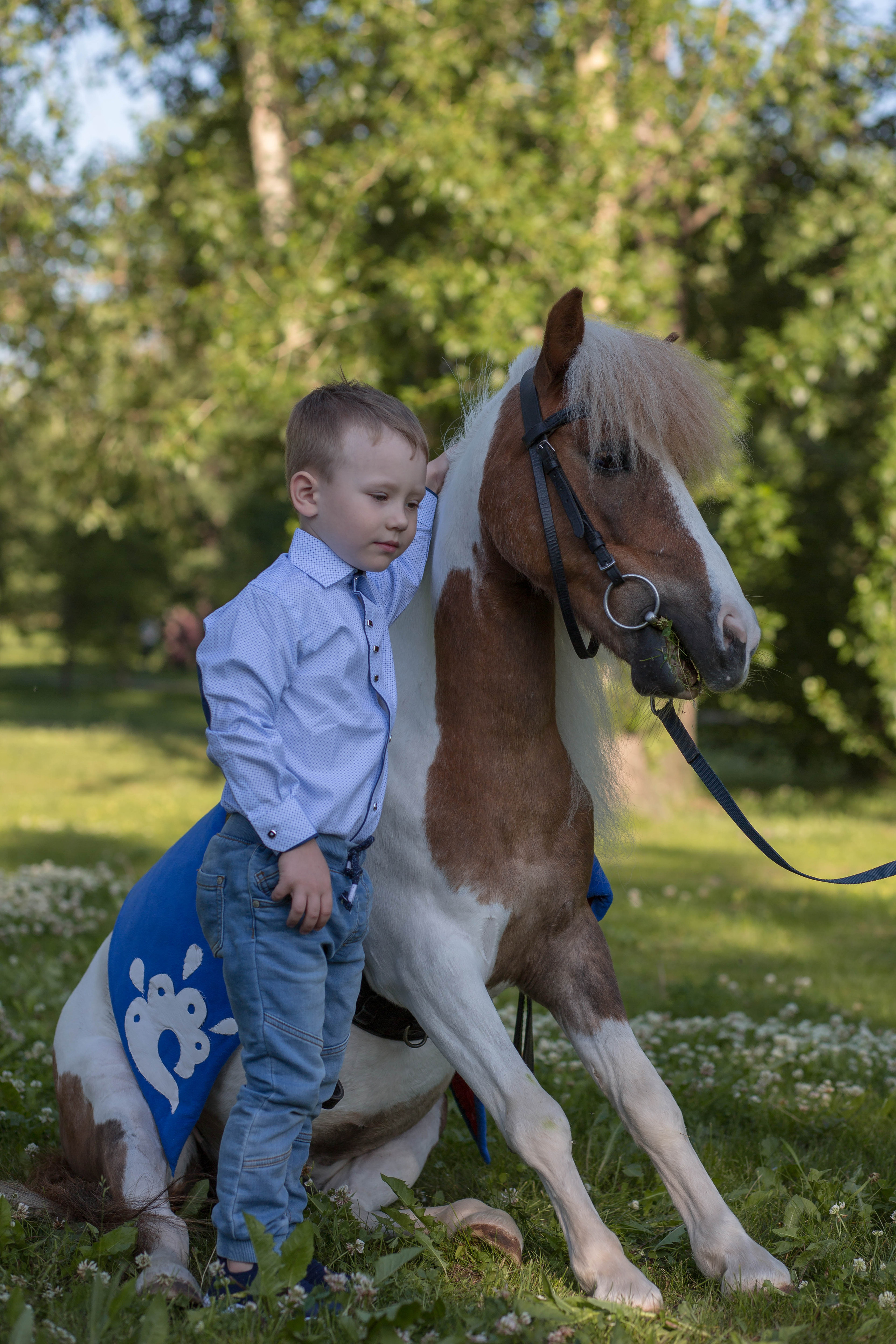 Пони и дети. Конный фотограф в Красноярске — Любовь Похабова