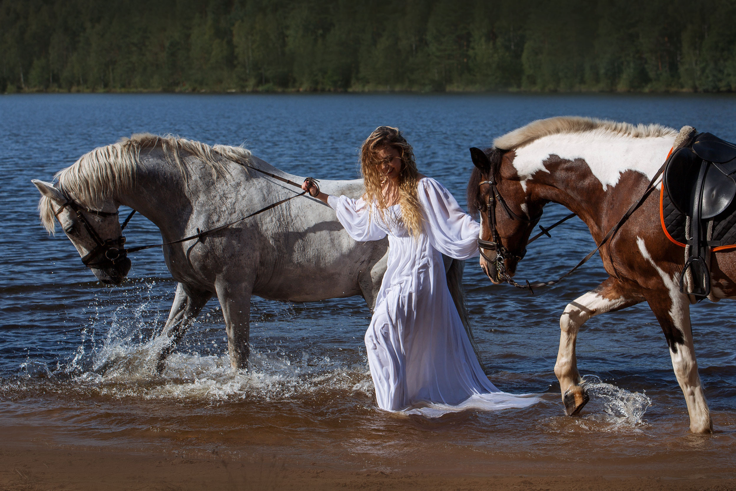 Г. СПБ КСК Ерельки. Конный фотограф в Красноярске — Любовь Похабова