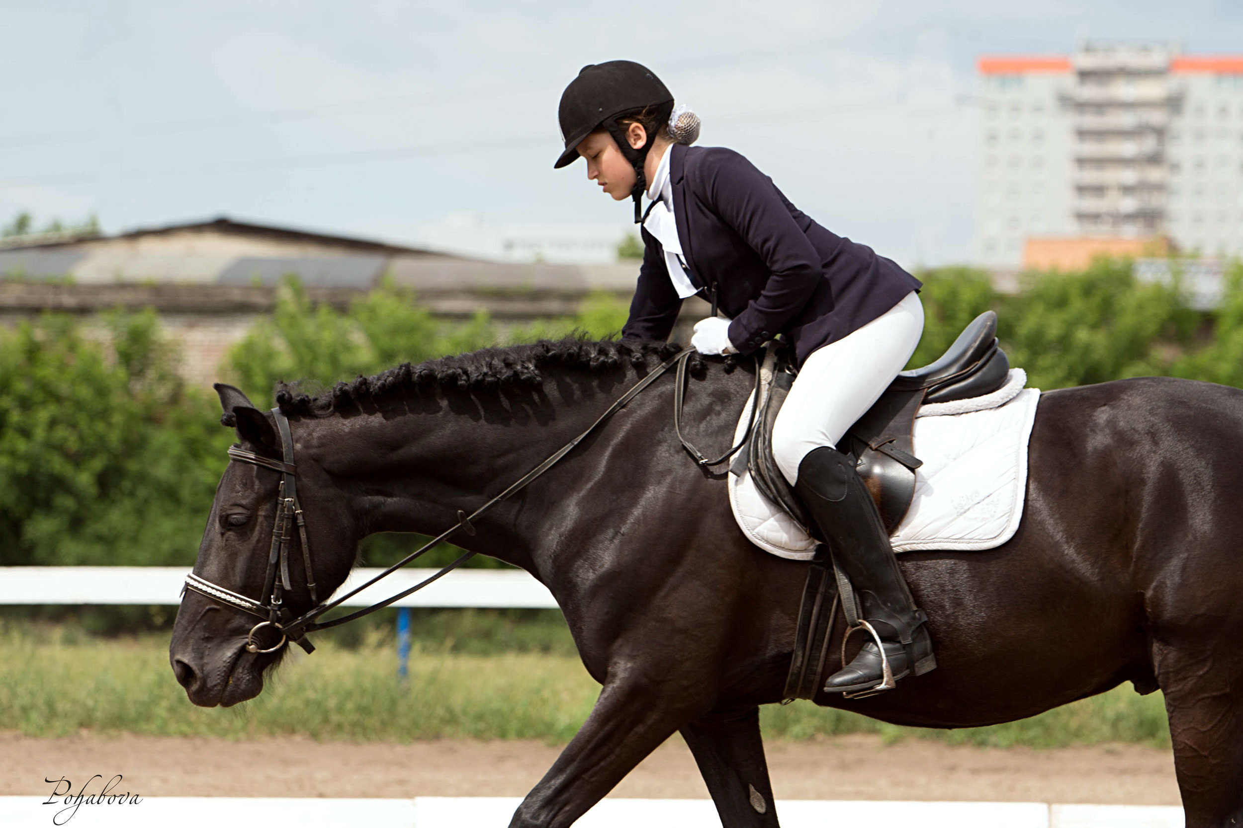 Оревнования 2023. Конный фотограф в Красноярске — Любовь Похабова