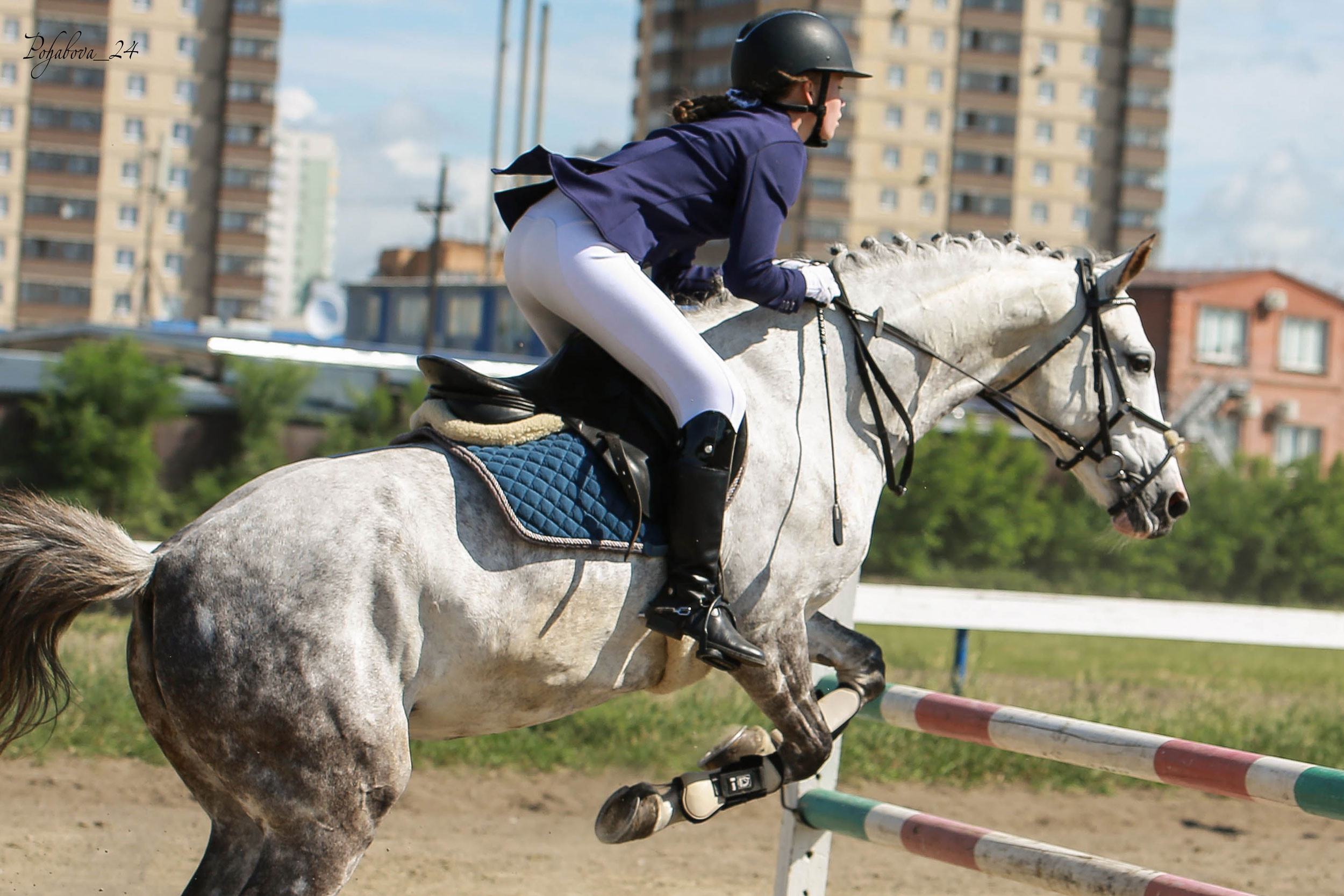 Оревнования 2023. Конный фотограф в Красноярске — Любовь Похабова