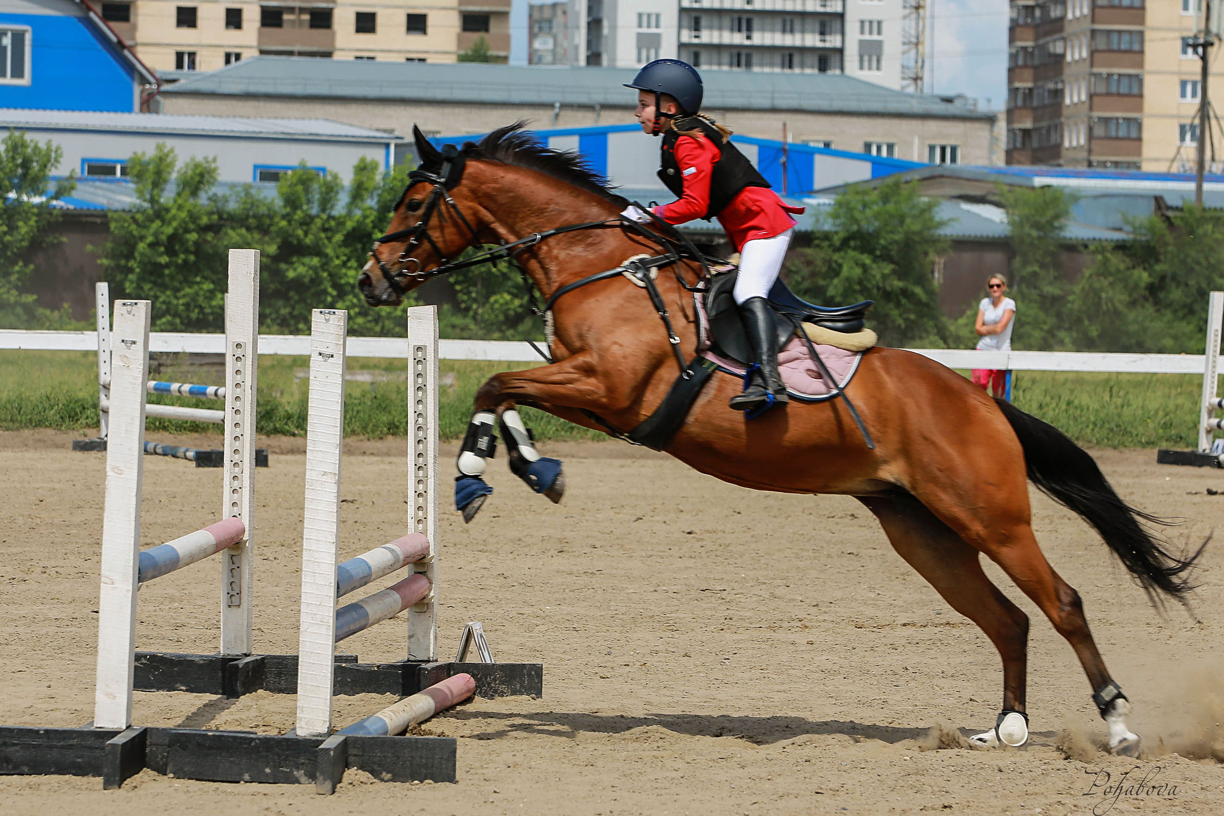 Оревнования 2023. Конный фотограф в Красноярске — Любовь Похабова