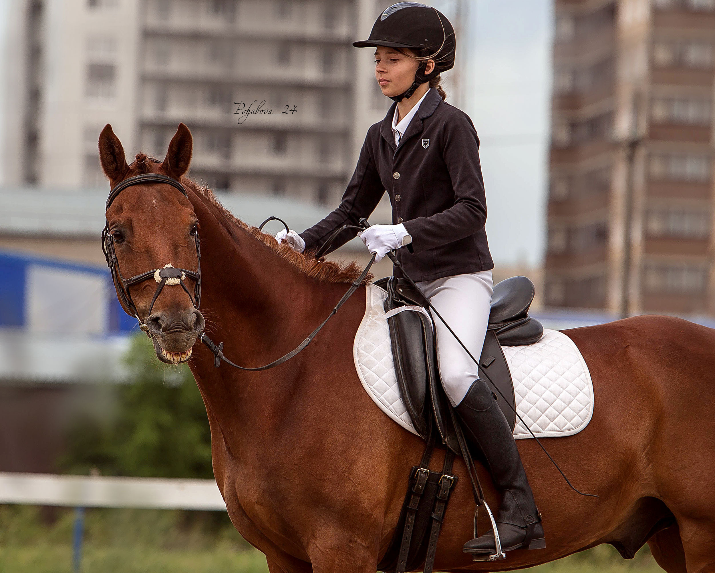 Оревнования 2023. Конный фотограф в Красноярске — Любовь Похабова