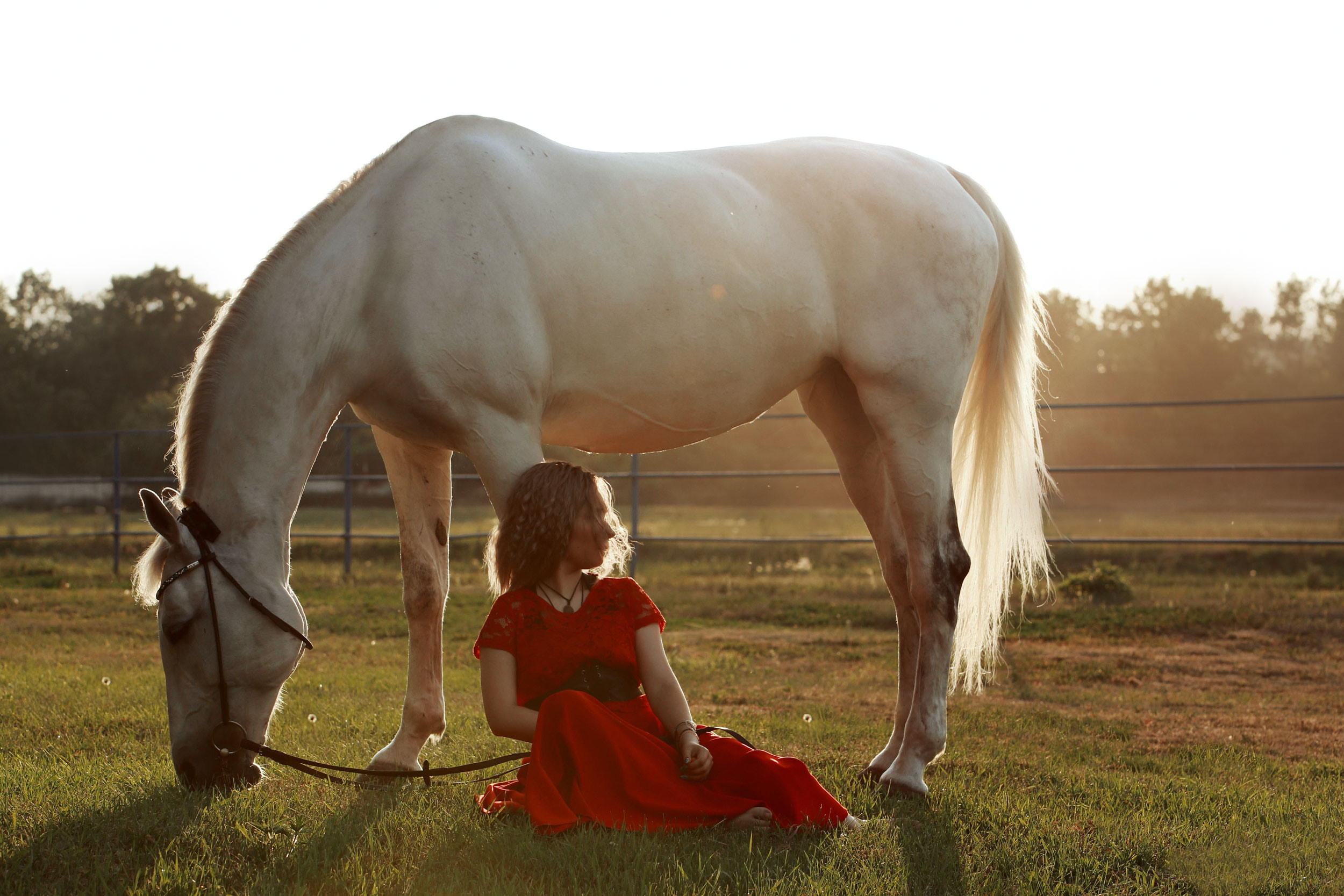 Красноярский ип-м. Конный фотограф в Красноярске — Любовь Похабова
