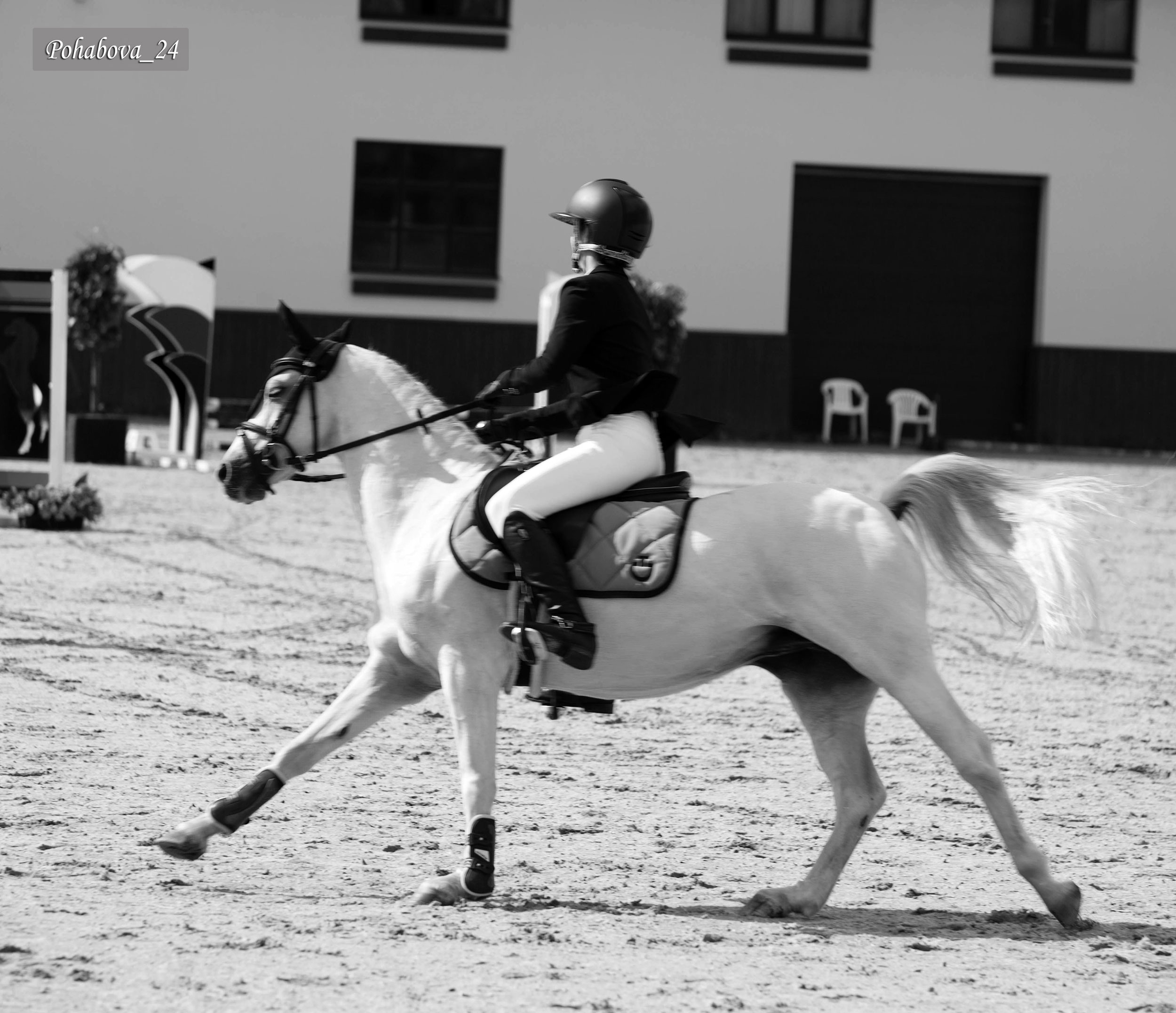 Г. СПБ КСК «Вента-Арена». Конный фотограф в Красноярске — Любовь Похабова