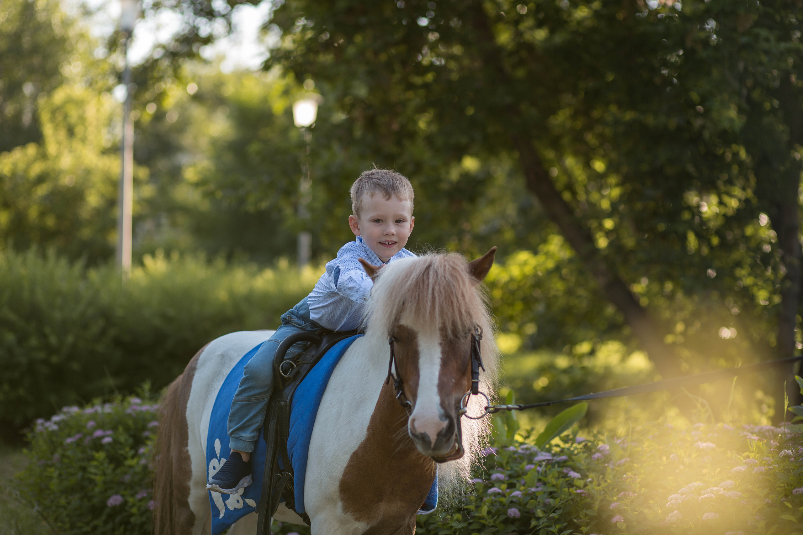 Пони и дети. Конный фотограф в Красноярске — Любовь Похабова