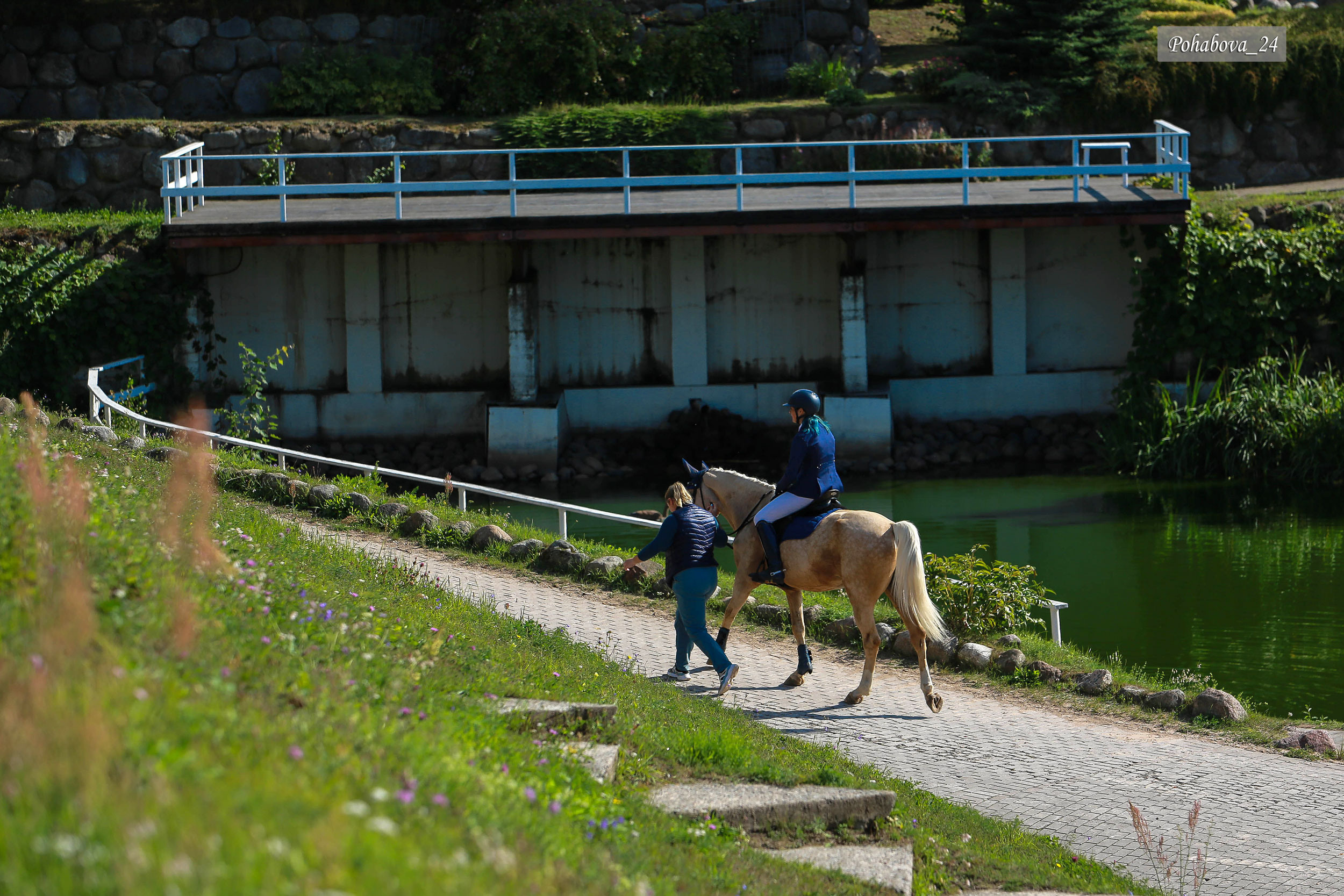 Г. СПБ КСК «Вента-Арена». Конный фотограф в Красноярске — Любовь Похабова
