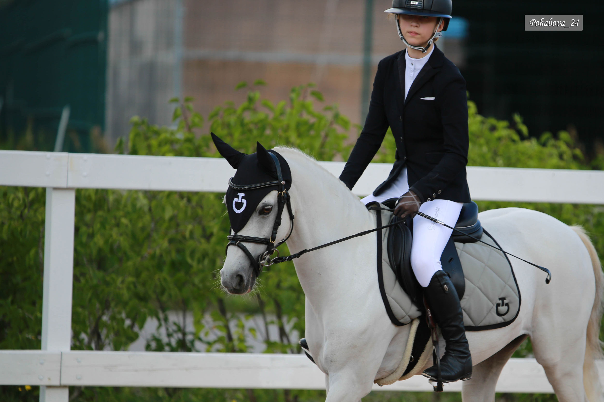 Г. СПБ КСК «Вента-Арена». Конный фотограф в Красноярске — Любовь Похабова