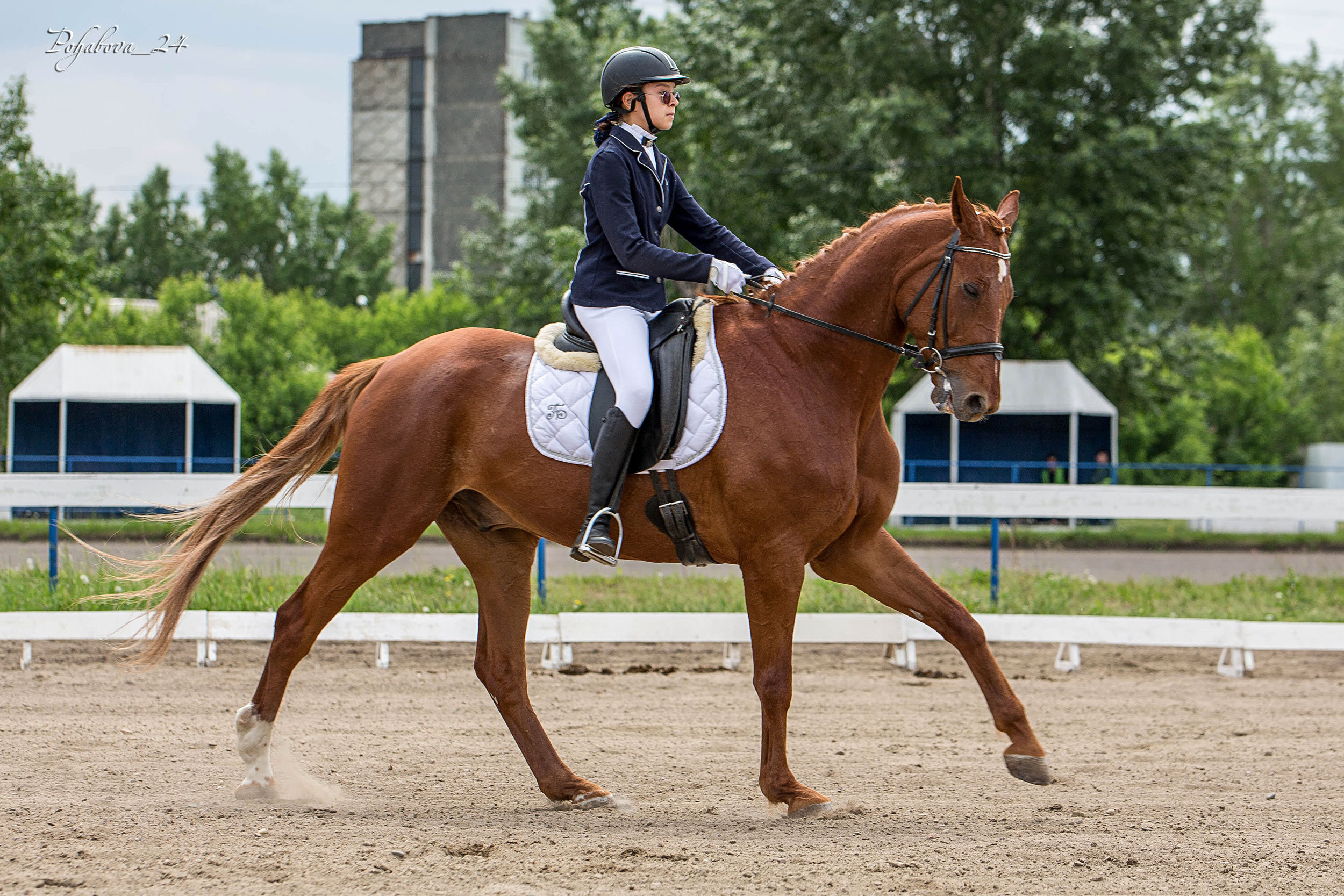 Оревнования 2023. Конный фотограф в Красноярске — Любовь Похабова