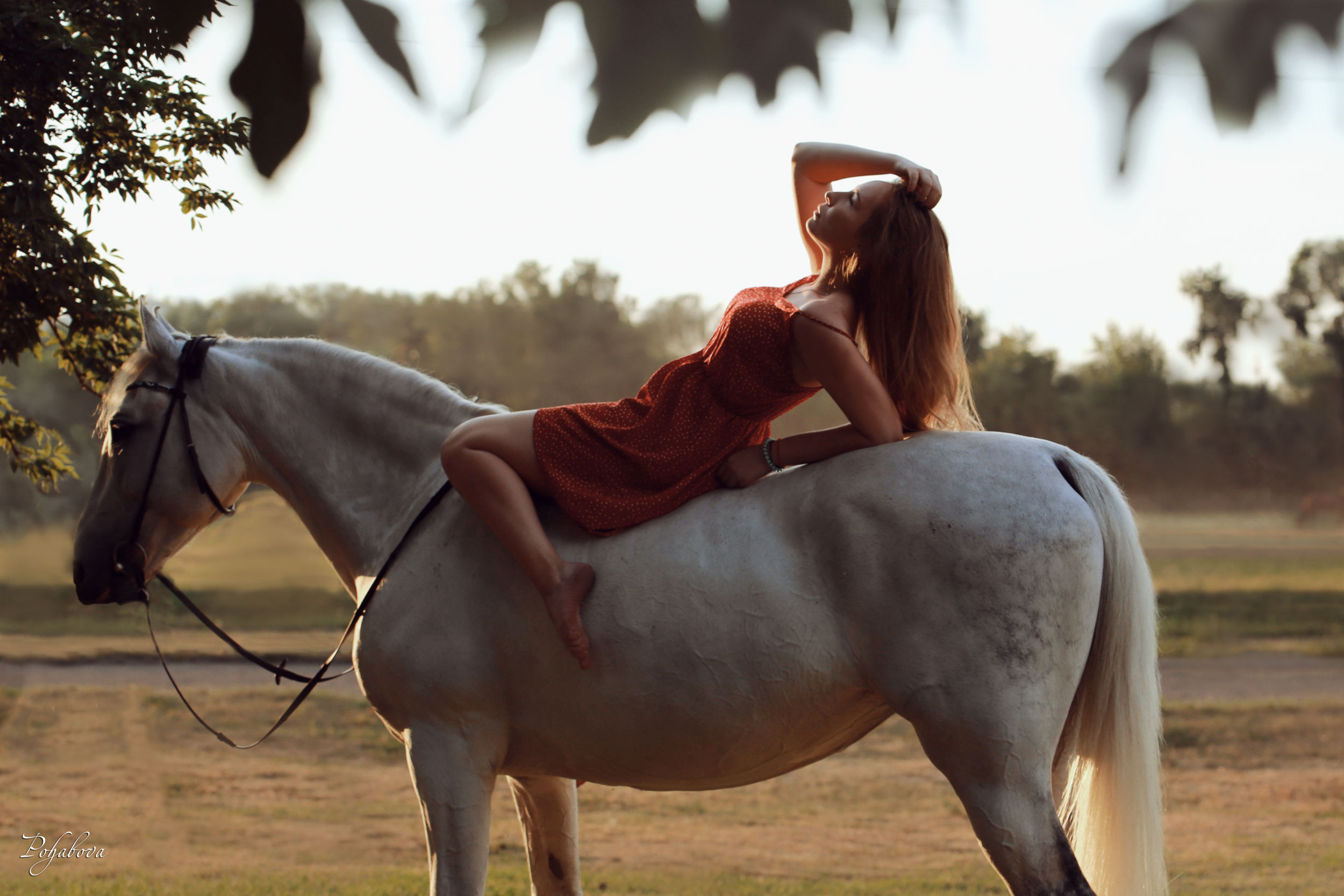 Красноярский ип-м. Конный фотограф в Красноярске — Любовь Похабова