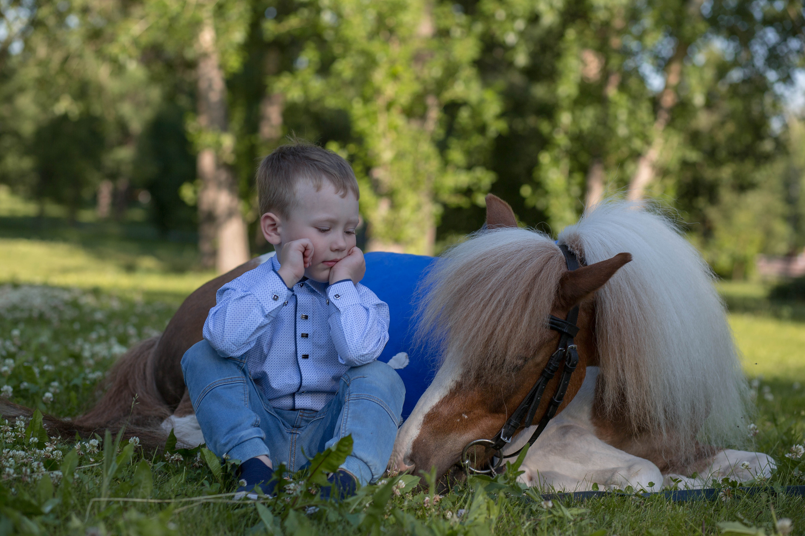 Пони и дети. Конный фотограф в Красноярске — Любовь Похабова