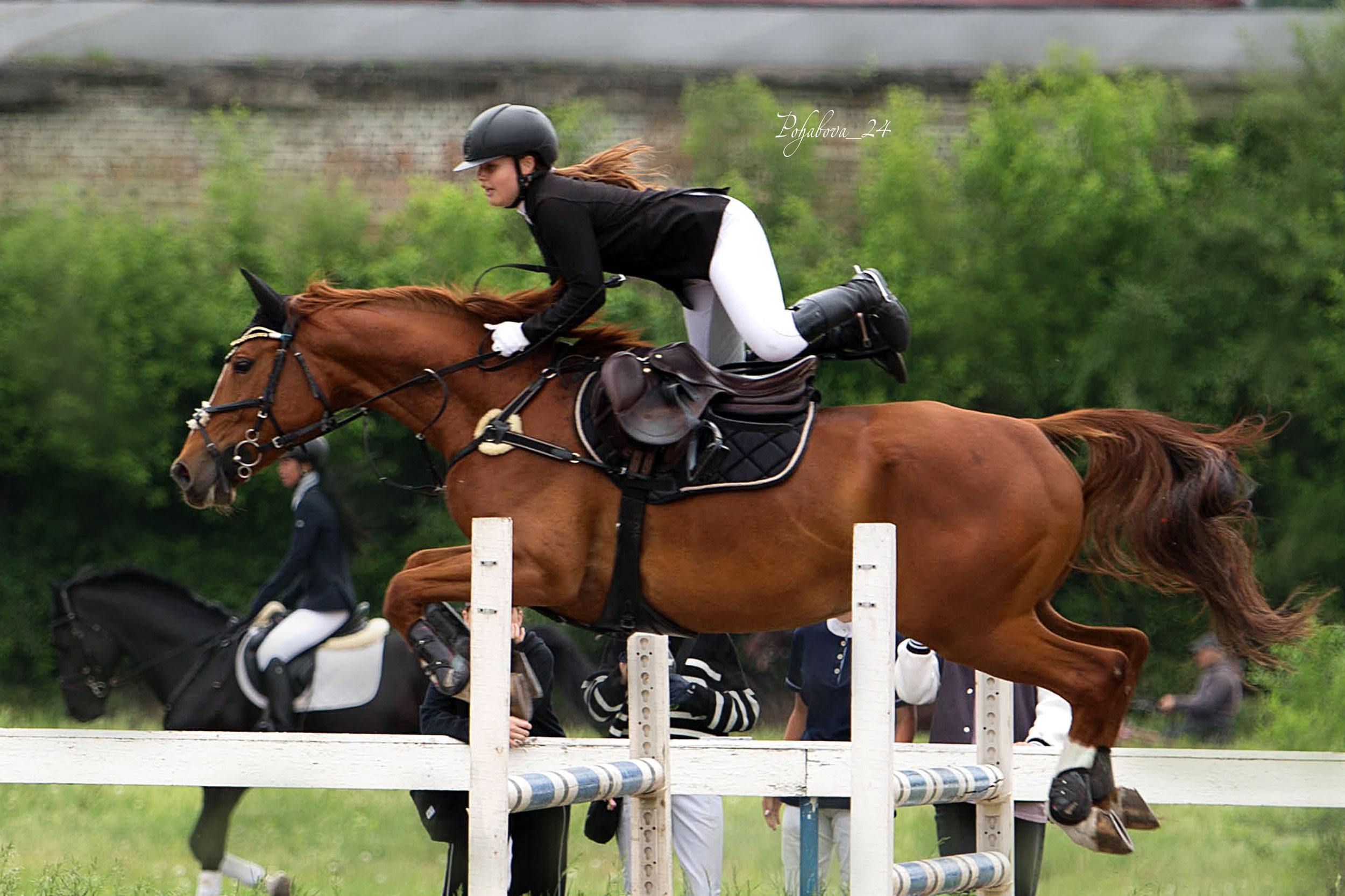 Оревнования 2023. Конный фотограф в Красноярске — Любовь Похабова
