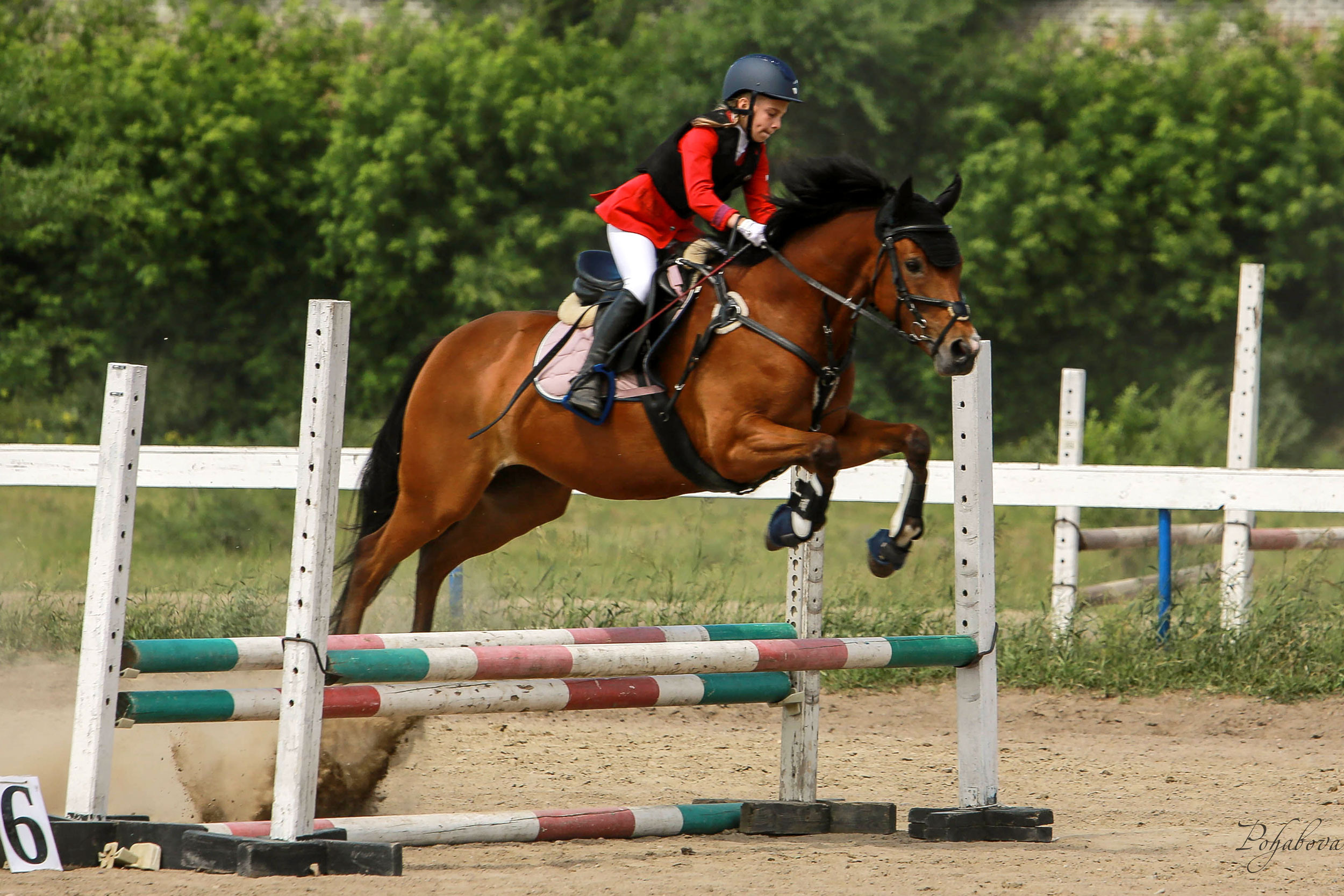 Оревнования 2023. Конный фотограф в Красноярске — Любовь Похабова