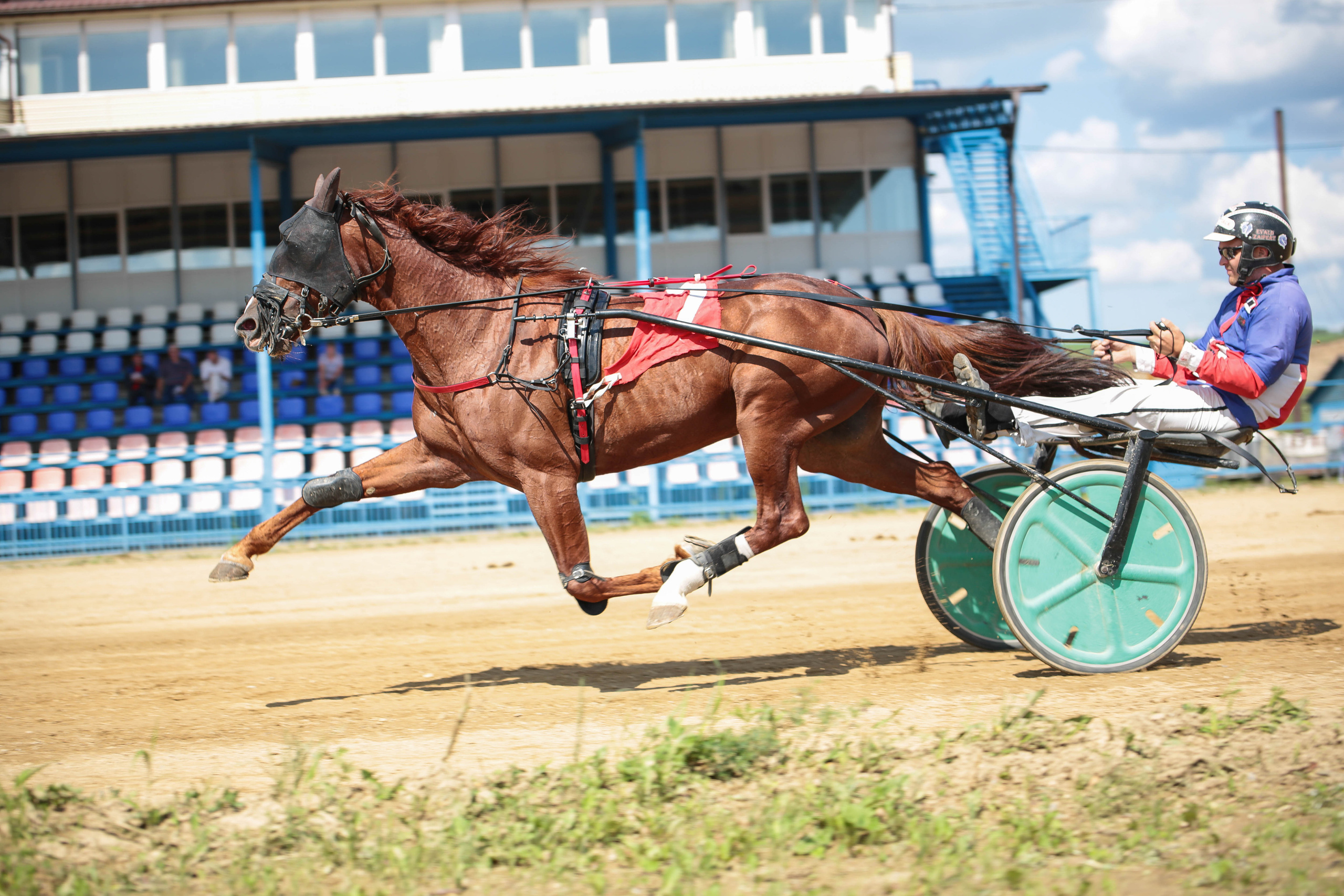 Оревнования 2023. Конный фотограф в Красноярске — Любовь Похабова