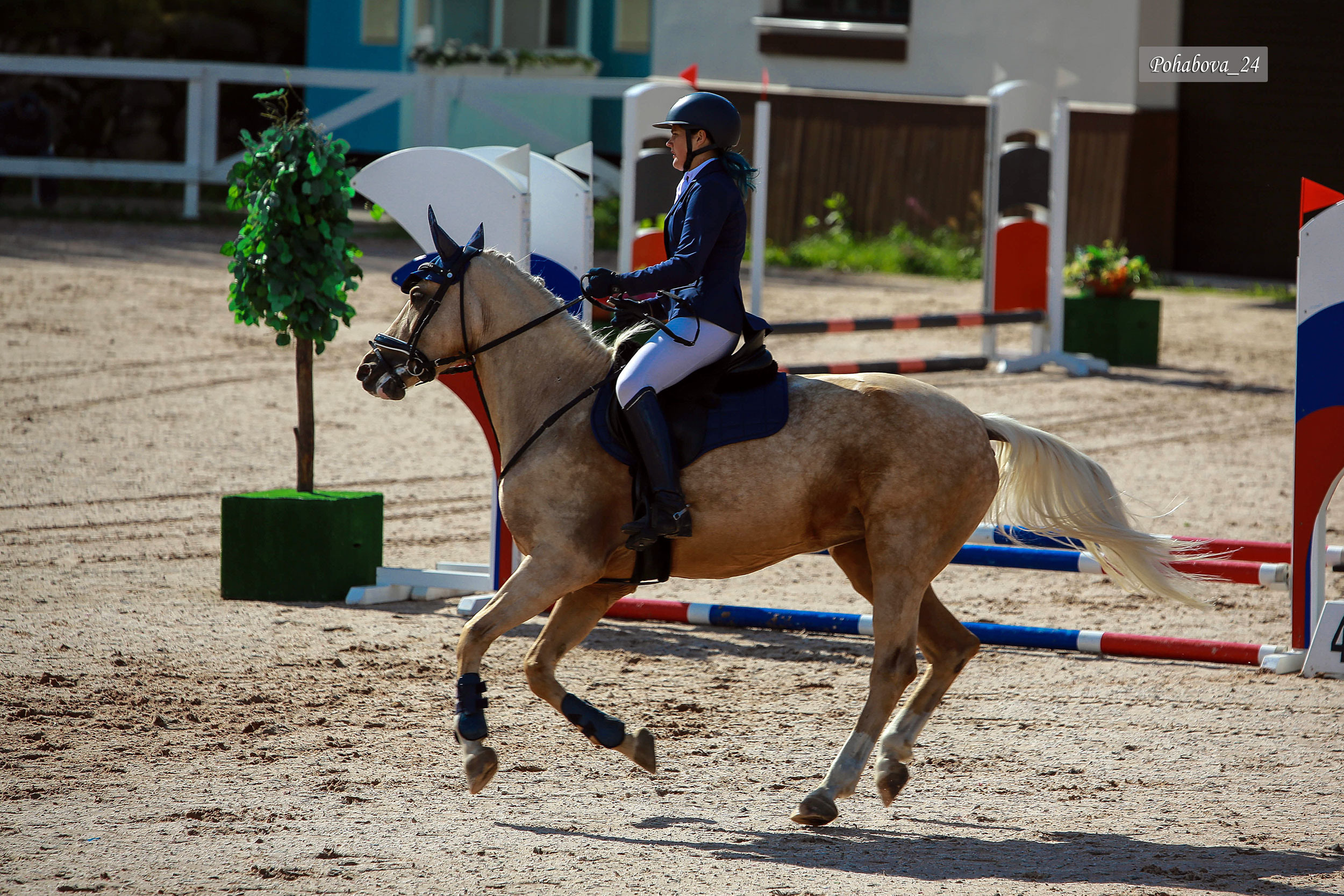Г. СПБ КСК «Вента-Арена». Конный фотограф в Красноярске — Любовь Похабова
