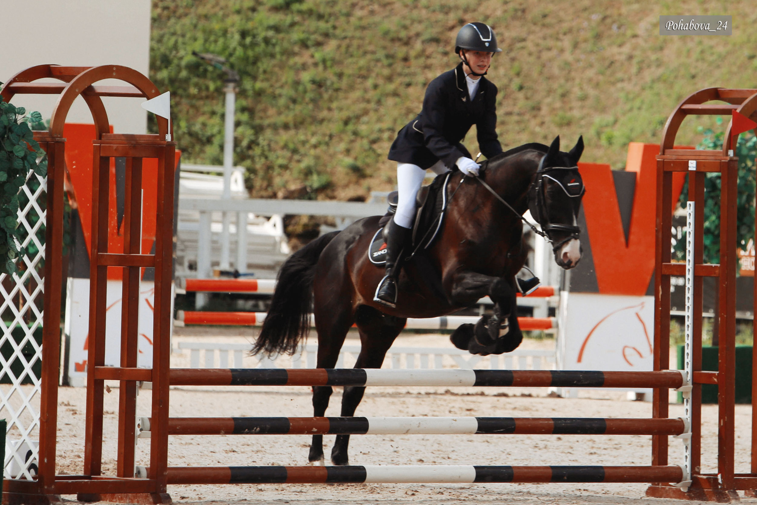 Г. СПБ КСК «Вента-Арена». Конный фотограф в Красноярске — Любовь Похабова