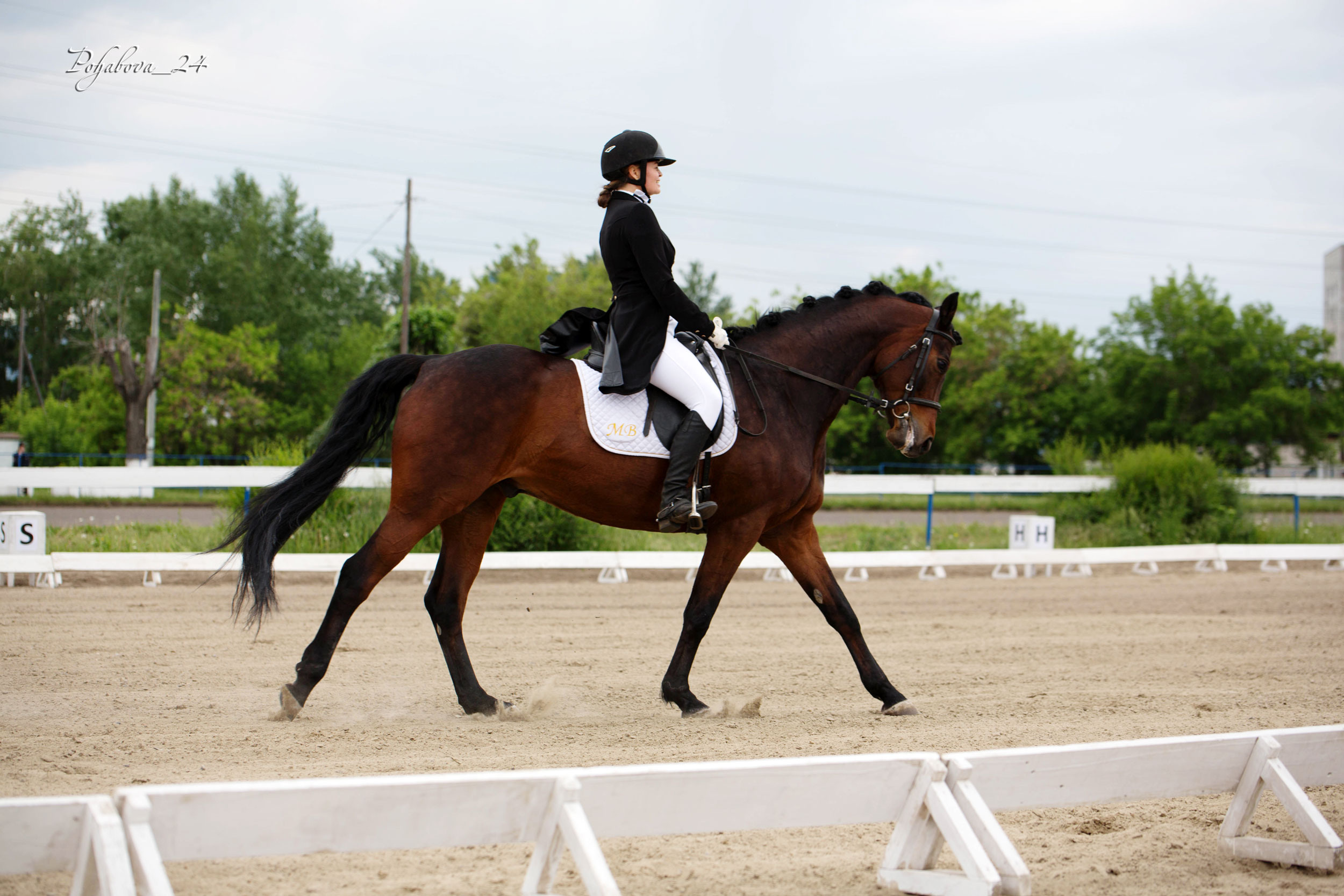 Оревнования 2023. Конный фотограф в Красноярске — Любовь Похабова
