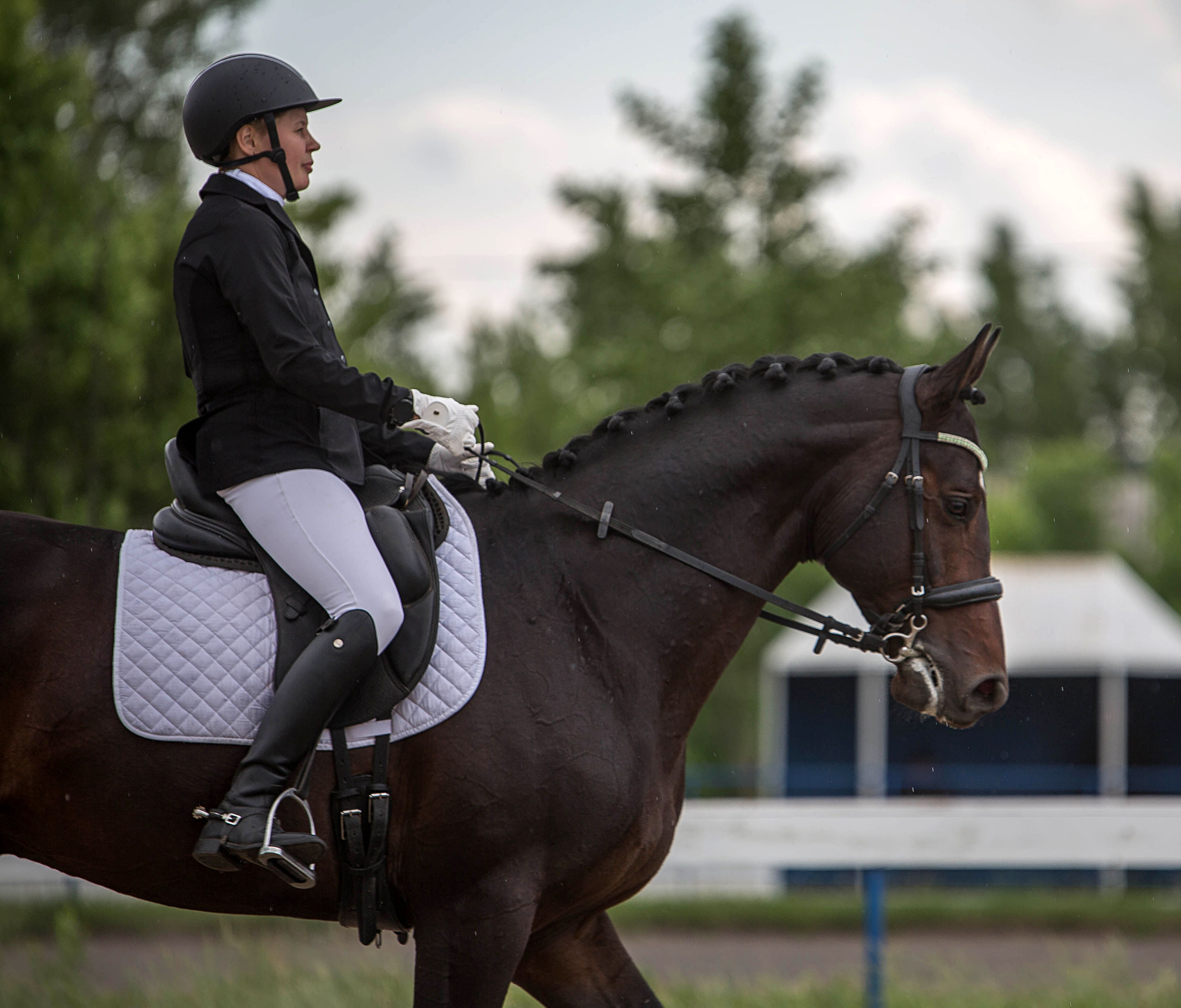 Оревнования 2023. Конный фотограф в Красноярске — Любовь Похабова